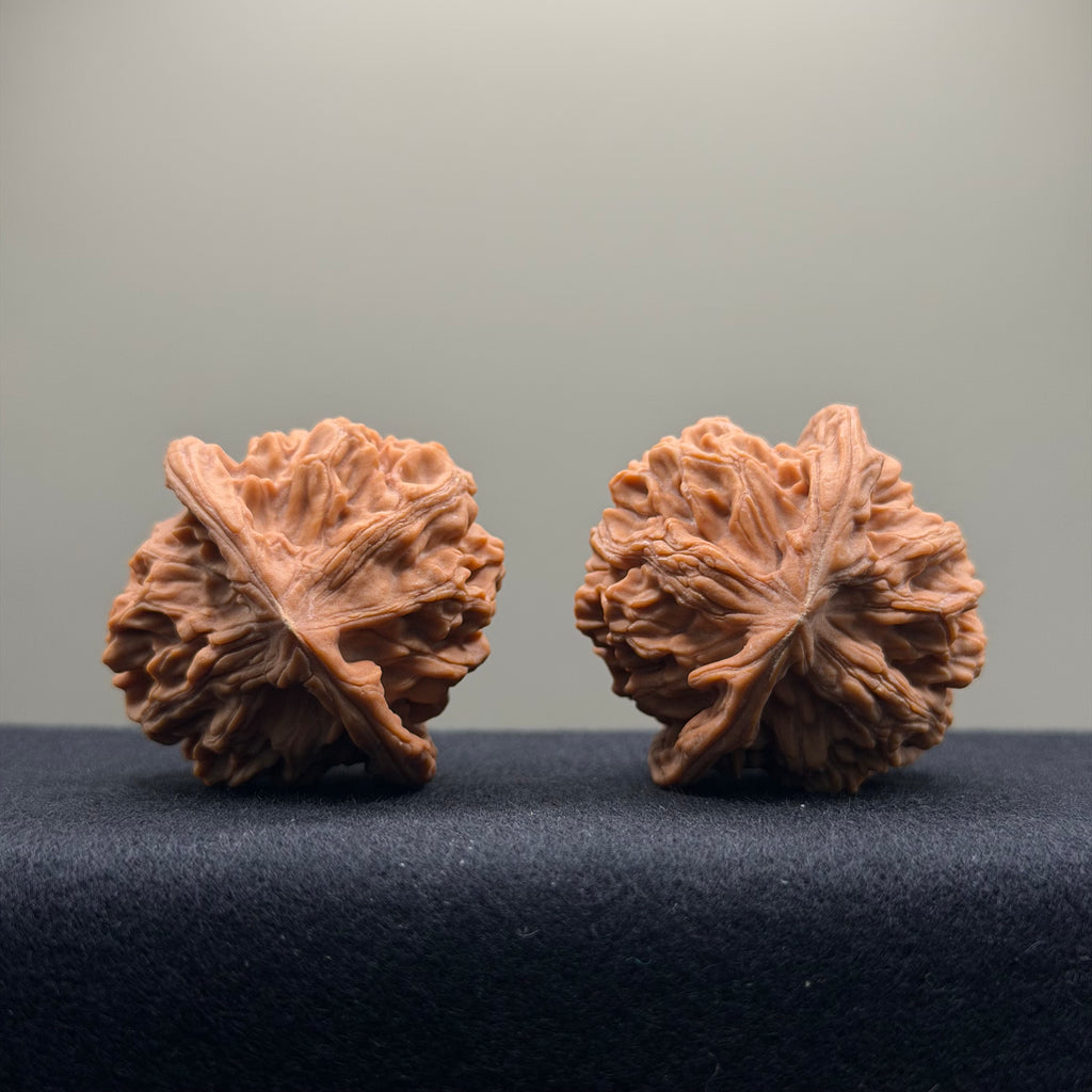 Heaven & Earth Wenwan Walnut · 41mm · Natural · Premium Ritual