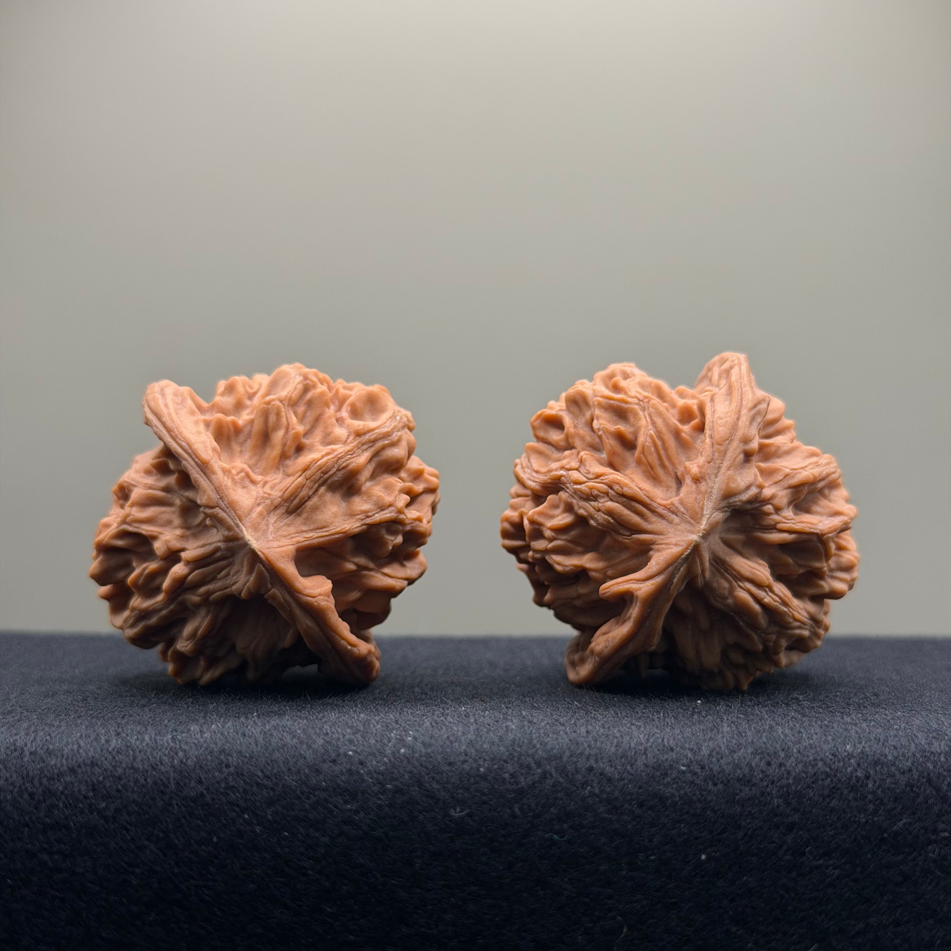 Heaven & Earth Wenwan Walnut · 41mm · Natural · Premium Ritual