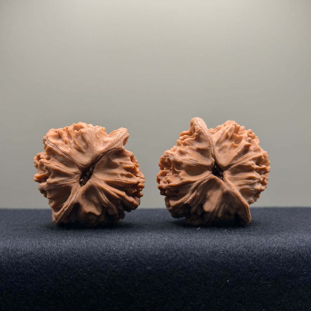 Heaven & Earth Wenwan Walnut · 41mm · Natural · Premium Ritual