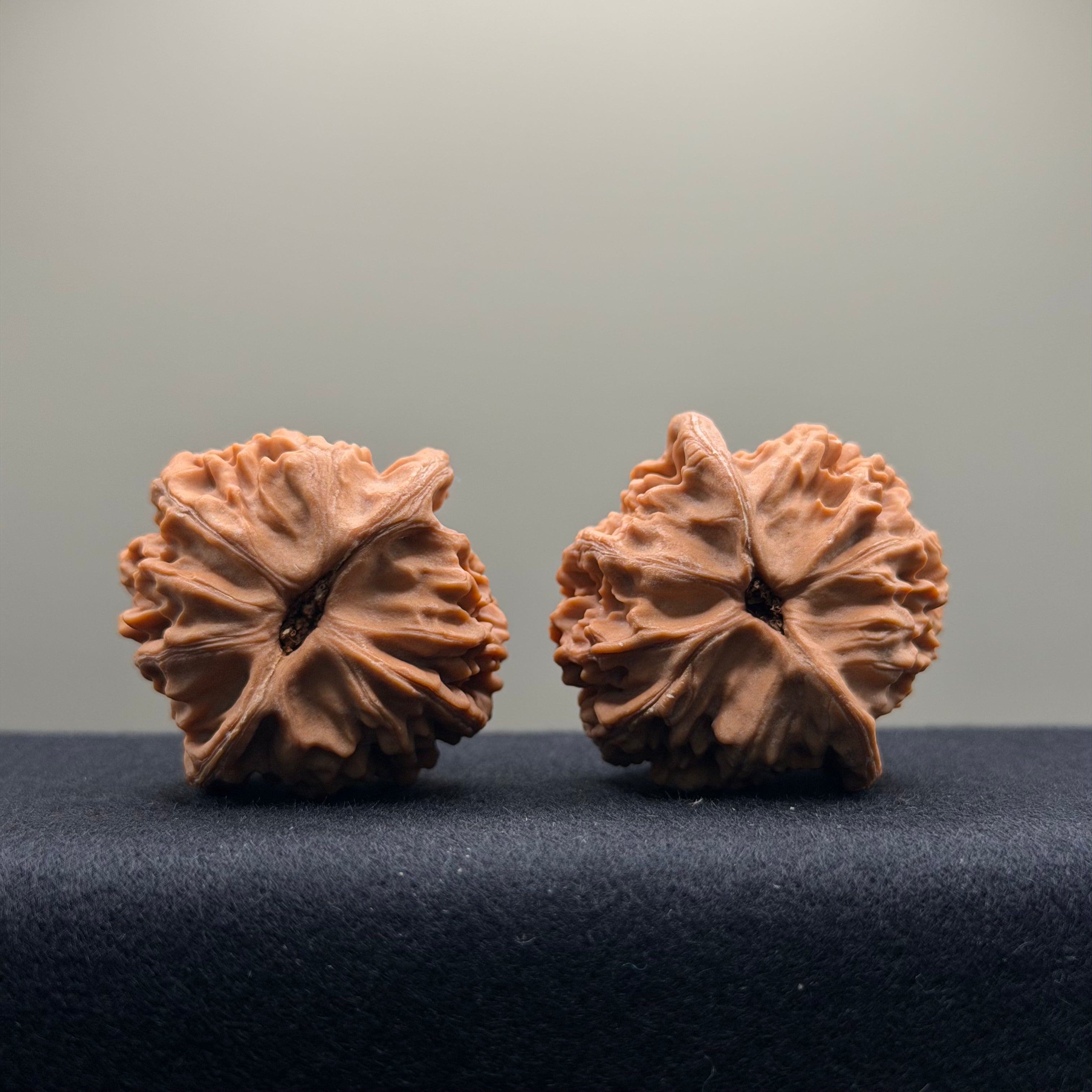 Heaven & Earth Wenwan Walnut · 41mm · Natural · Premium Ritual