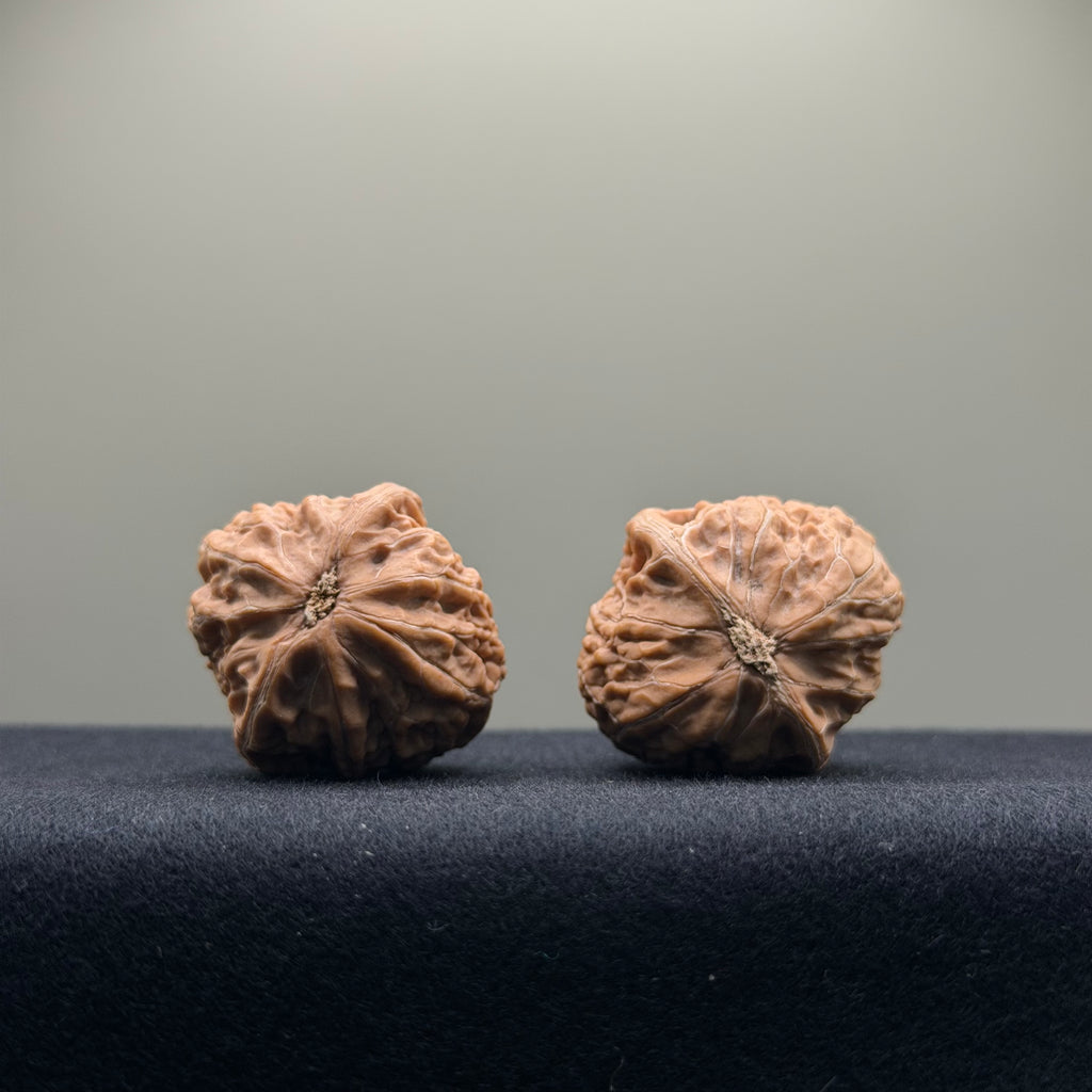 Mini Iron Hammer Wenwan Walnut · 31mm · Natural · Entry Ritual