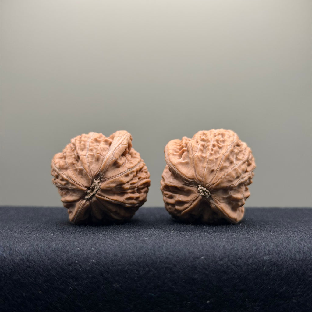 Mini Iron Hammer Wenwan Walnut · 33mm · Natural · Entry Ritual