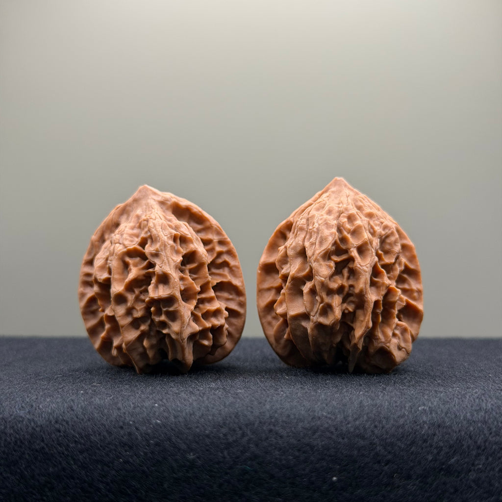WalnutRitual Exclusive · First Love Wenwan Walnut · 33mm · Natural · Entry Ritual
