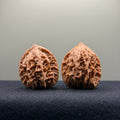 WalnutRitual Exclusive · First Love Wenwan Walnut · 33mm · Natural · Entry Ritual