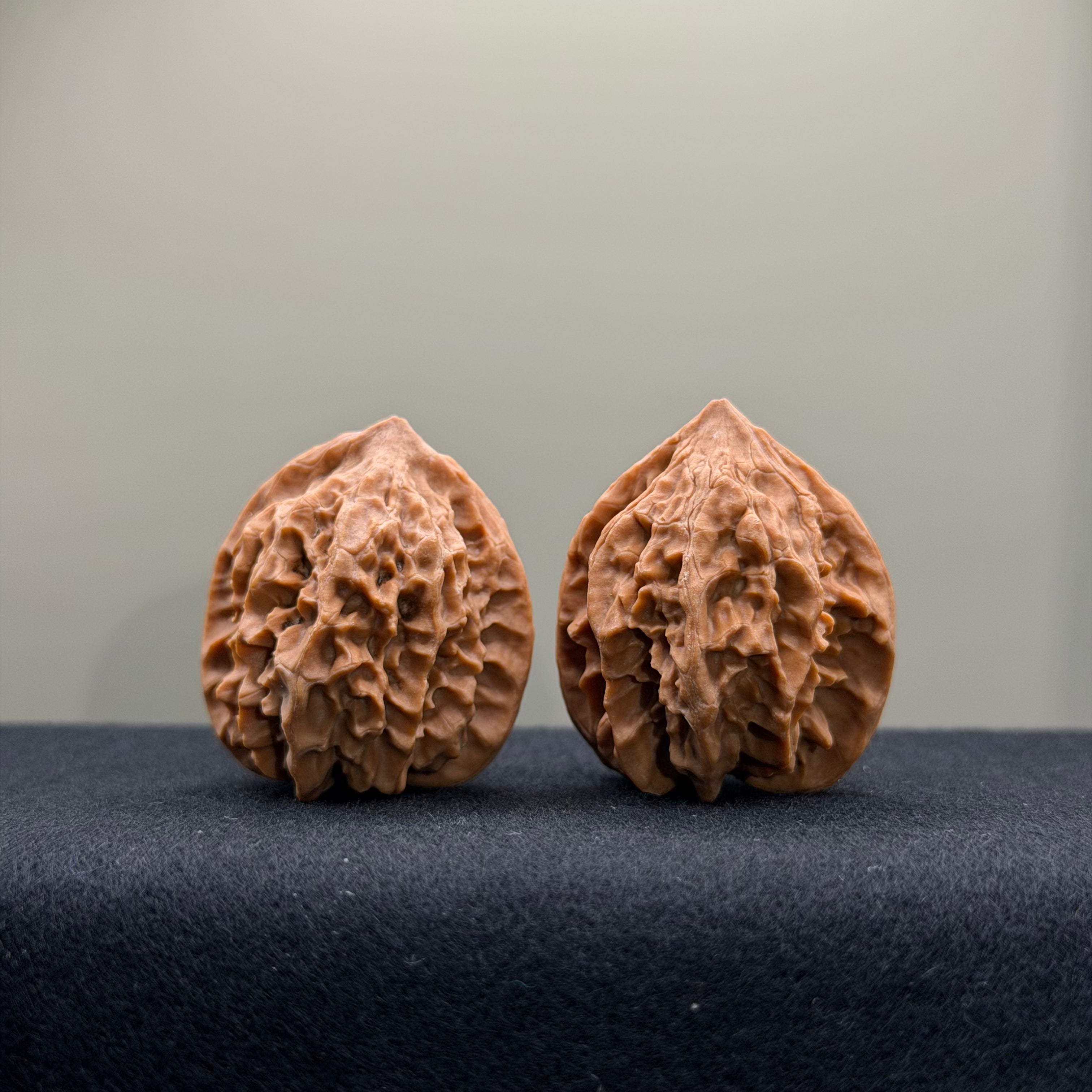 WalnutRitual Exclusive · First Love Wenwan Walnut · 33mm · Natural · Entry Ritual
