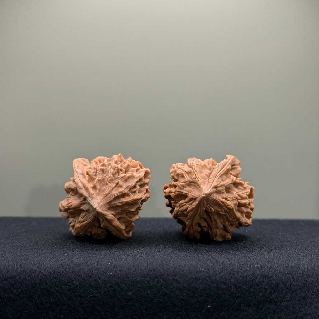 WalnutRitual Exclusive · First Love Wenwan Walnut · 33mm · Natural · Entry Ritual