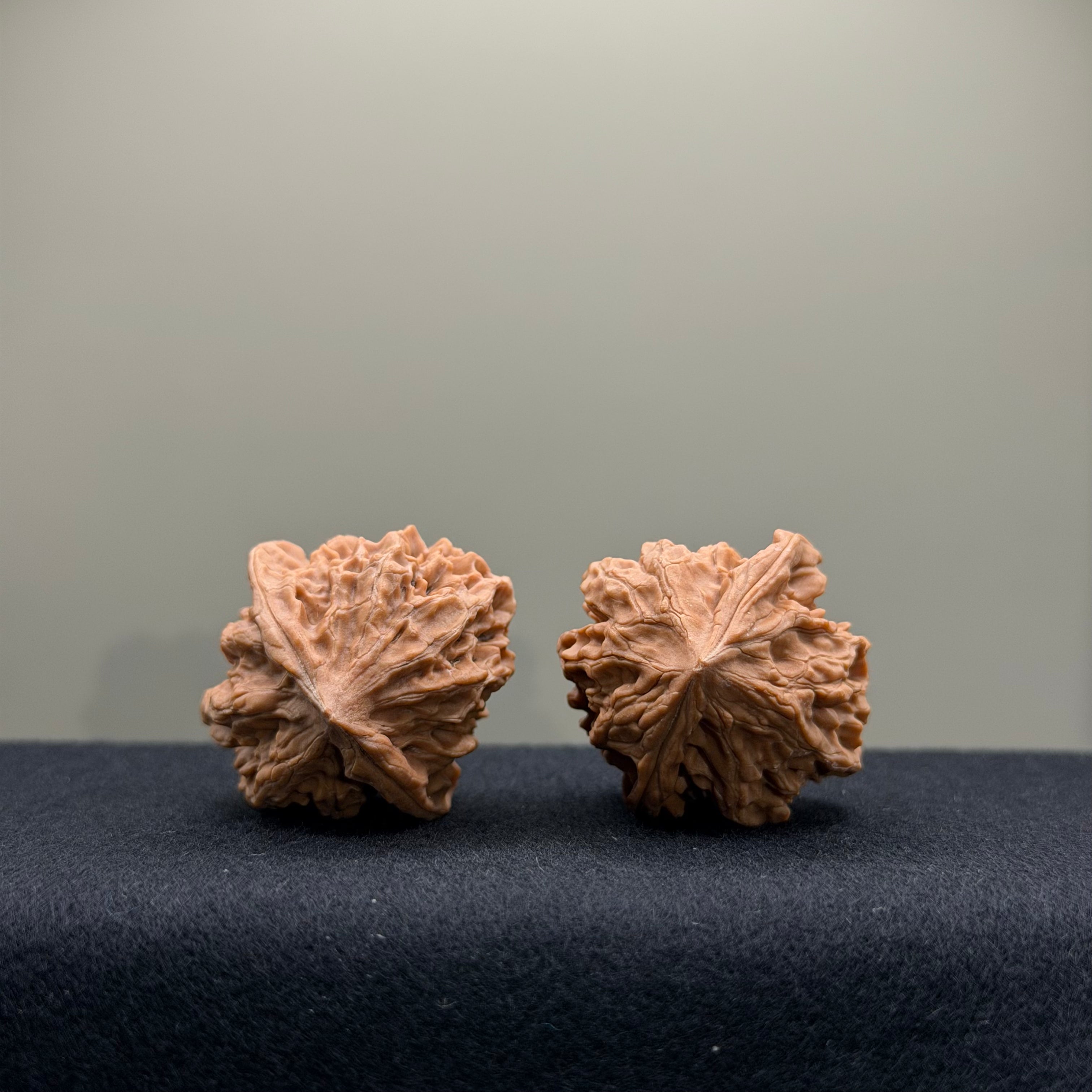 WalnutRitual Exclusive · First Love Wenwan Walnut · 33mm · Natural · Entry Ritual