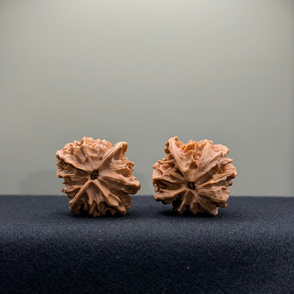 WalnutRitual Exclusive · First Love Wenwan Walnut · 33mm · Natural · Entry Ritual