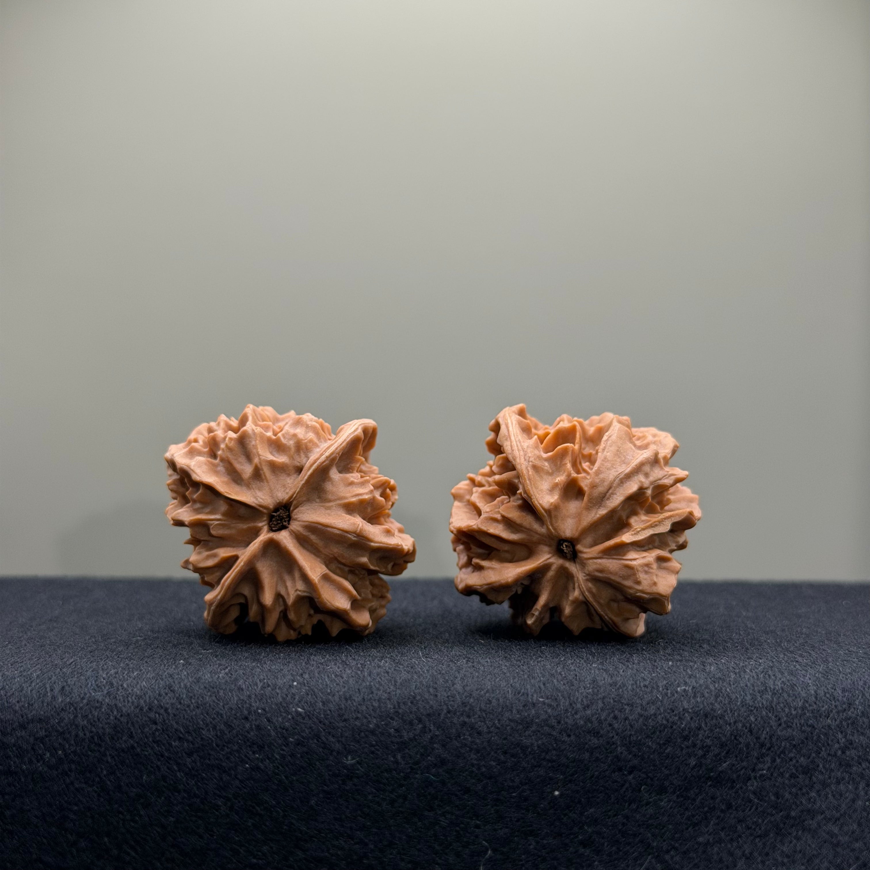WalnutRitual Exclusive · First Love Wenwan Walnut · 33mm · Natural · Entry Ritual