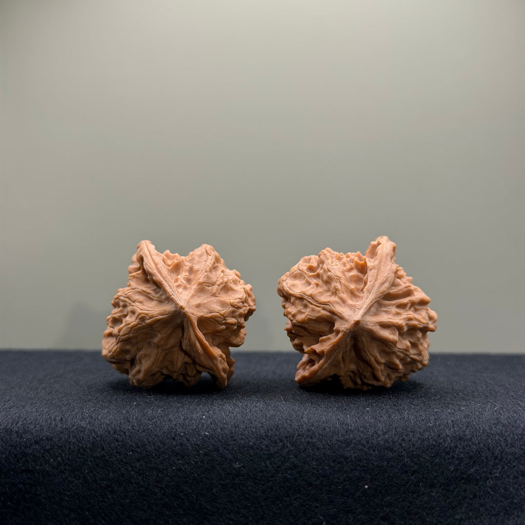WalnutRitual Exclusive · First Love Wenwan Walnut · 34mm · Natural · Entry Ritual