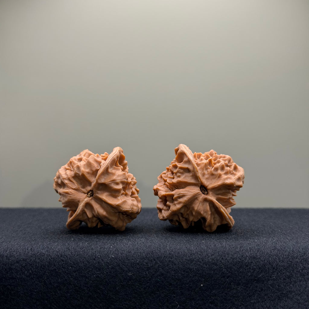 WalnutRitual Exclusive · First Love Wenwan Walnut · 34mm · Natural · Entry Ritual