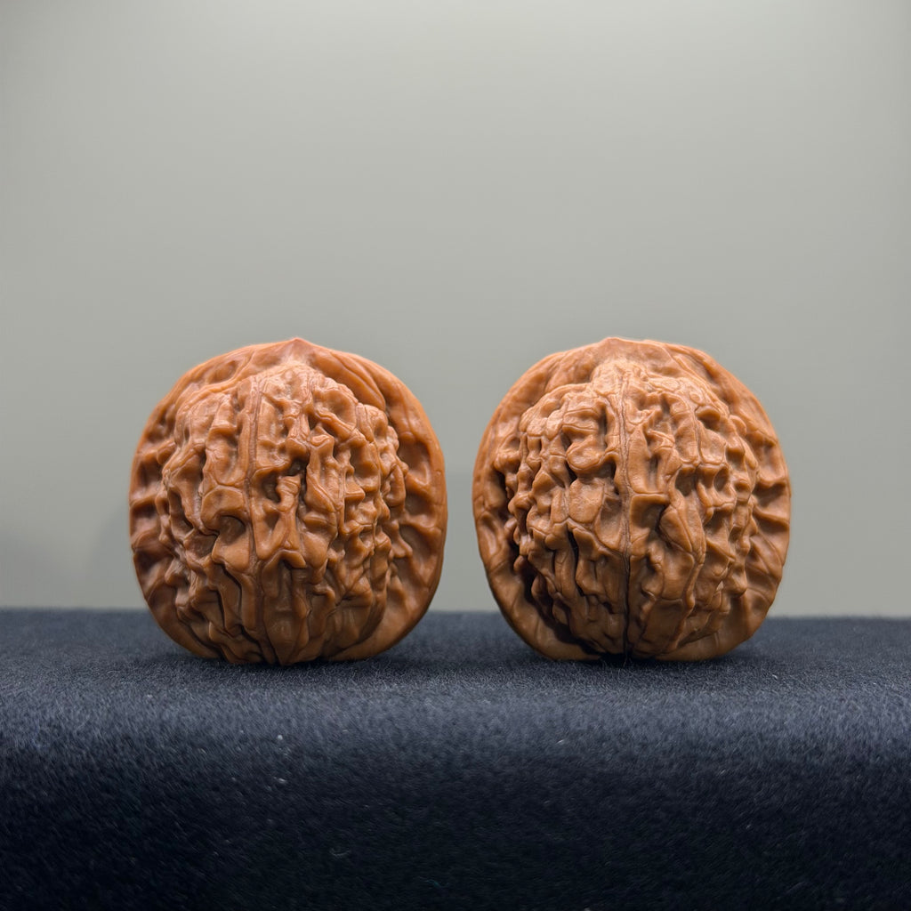 Lotus Tiger Head Walnut Wenwan Walnut · 37mm · Premium Ritual