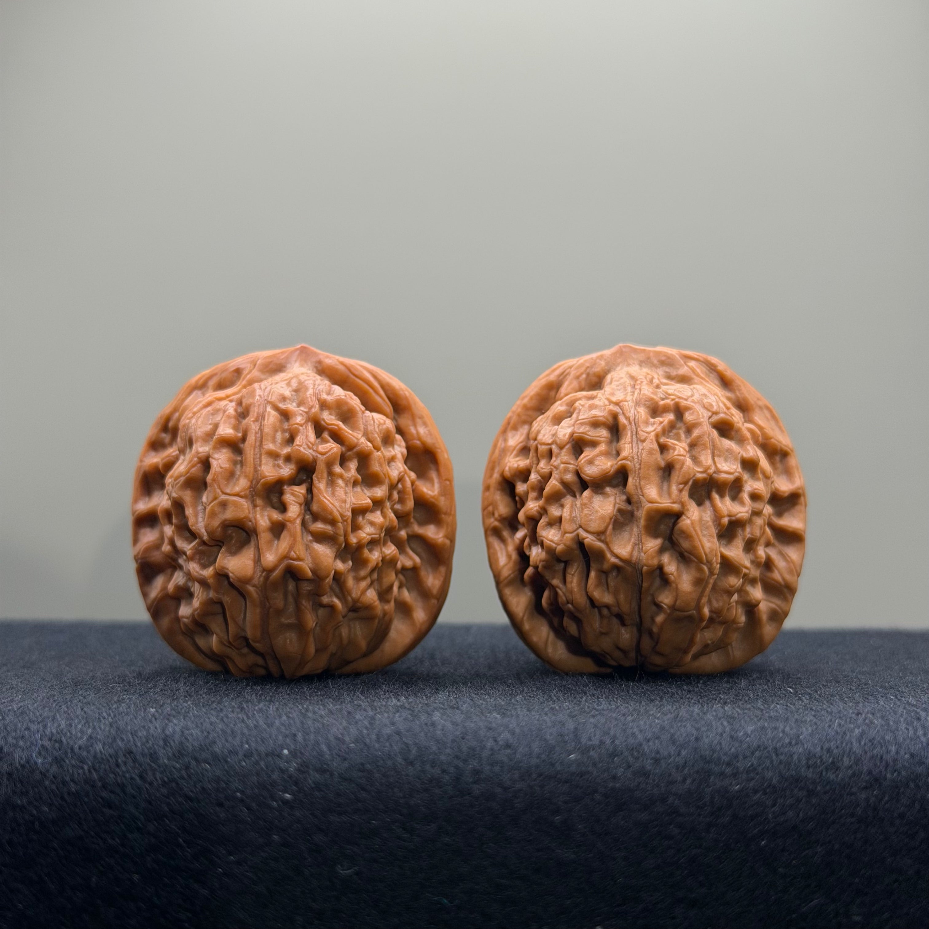 Lotus Tiger Head Walnut Wenwan Walnut · 37mm · Premium Ritual