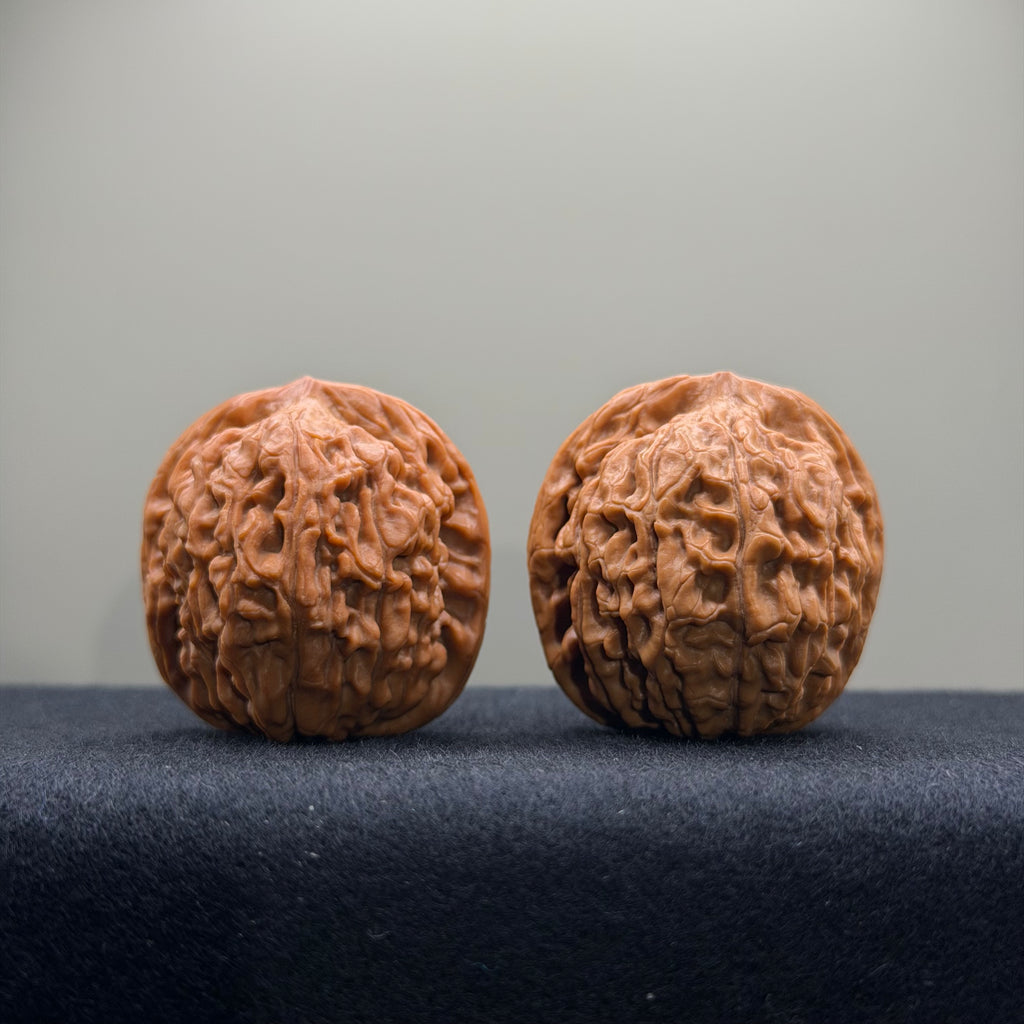 Lotus Tiger Head Walnut Wenwan Walnut · 37mm · Premium Ritual