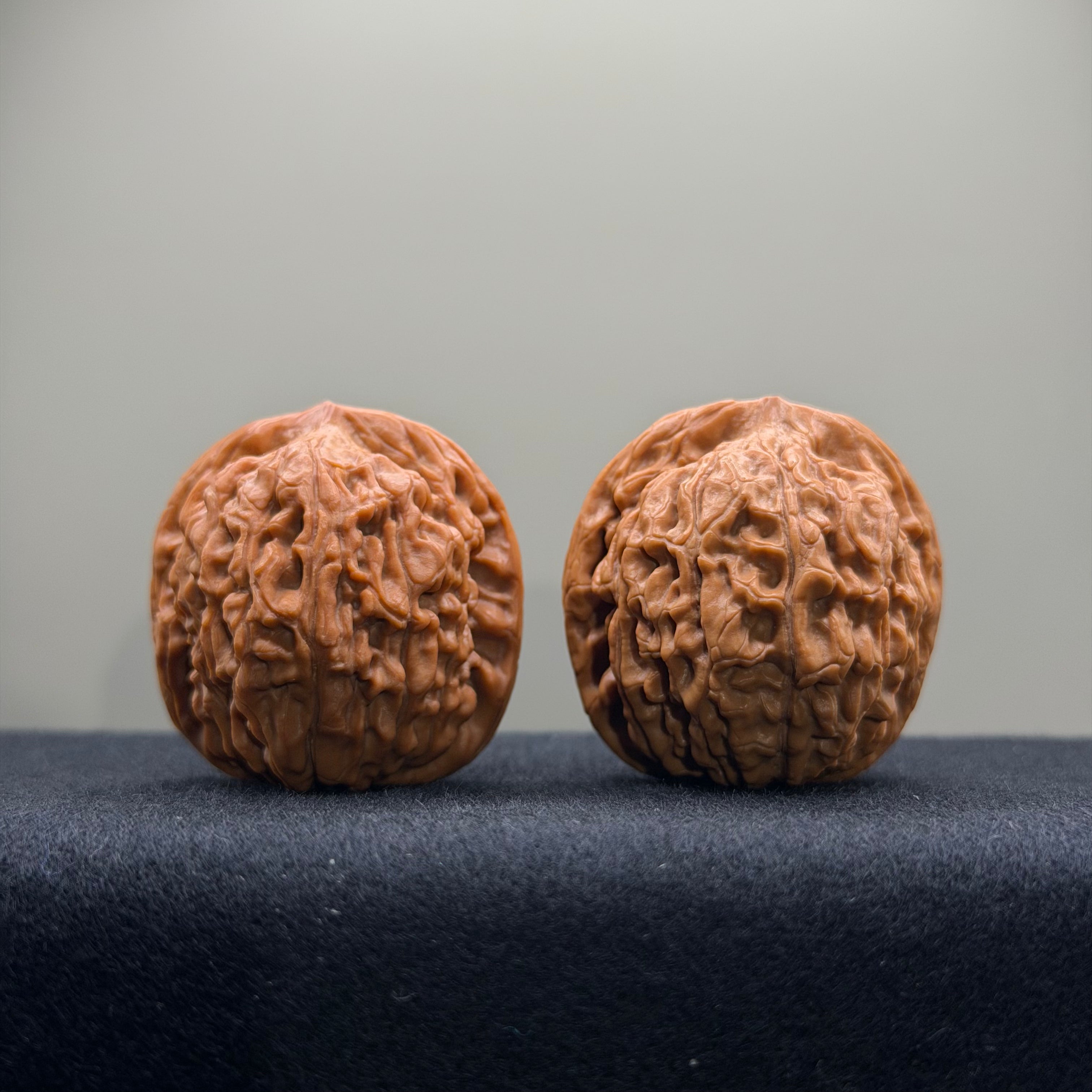 Lotus Tiger Head Walnut Wenwan Walnut · 37mm · Premium Ritual