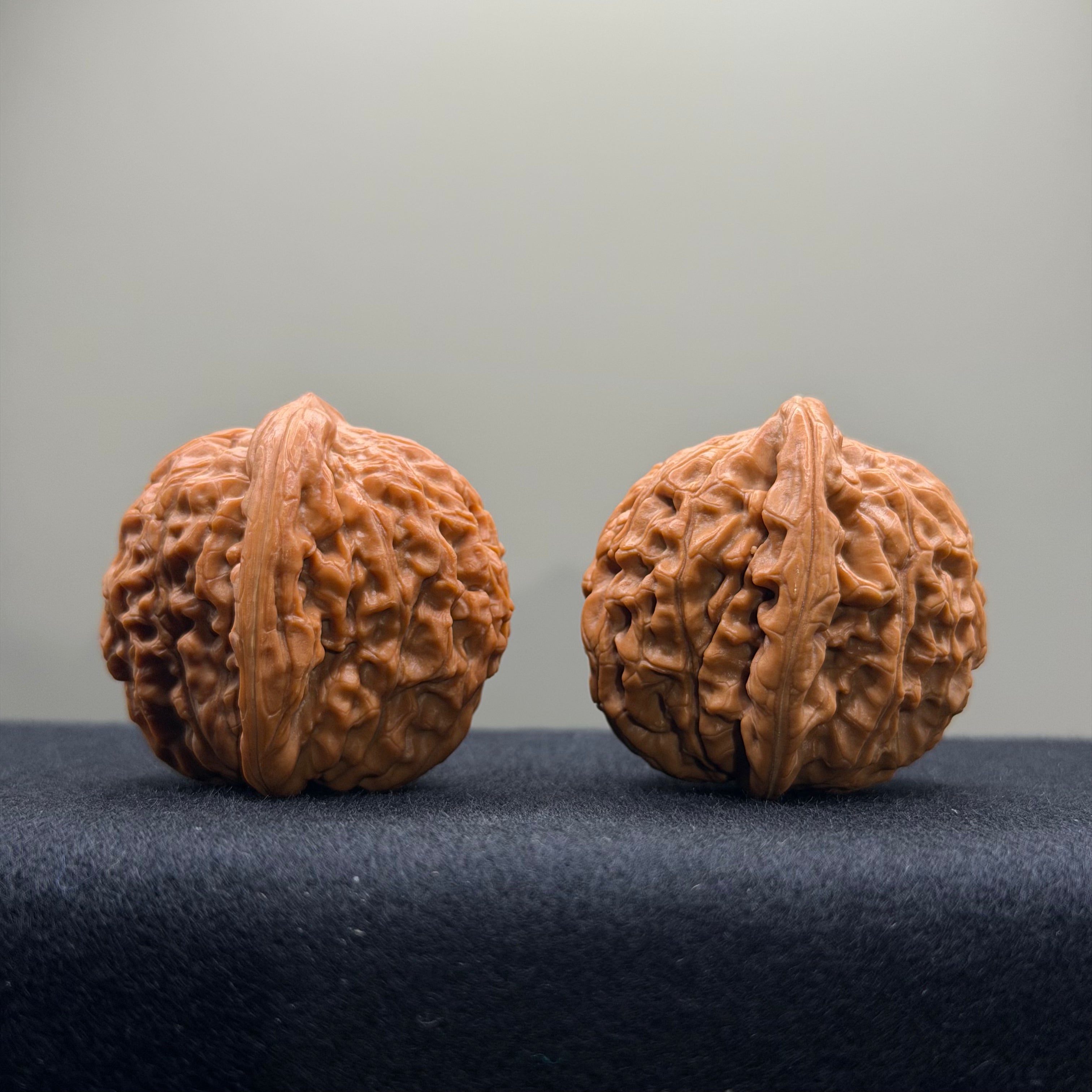 Lotus Tiger Head Walnut Wenwan Walnut · 37mm · Premium Ritual