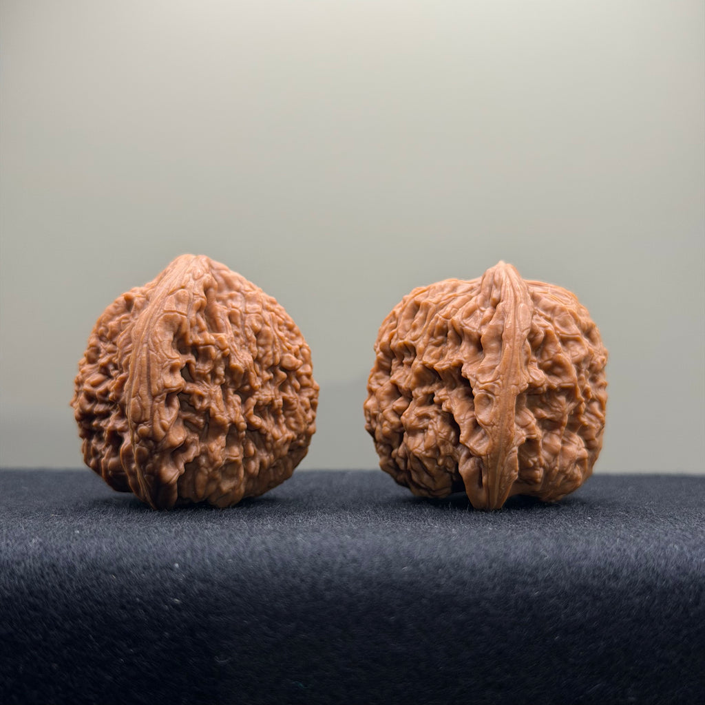 Nanjiang Stone Wenwan Walnut · 37mm · Natural · Select Ritual