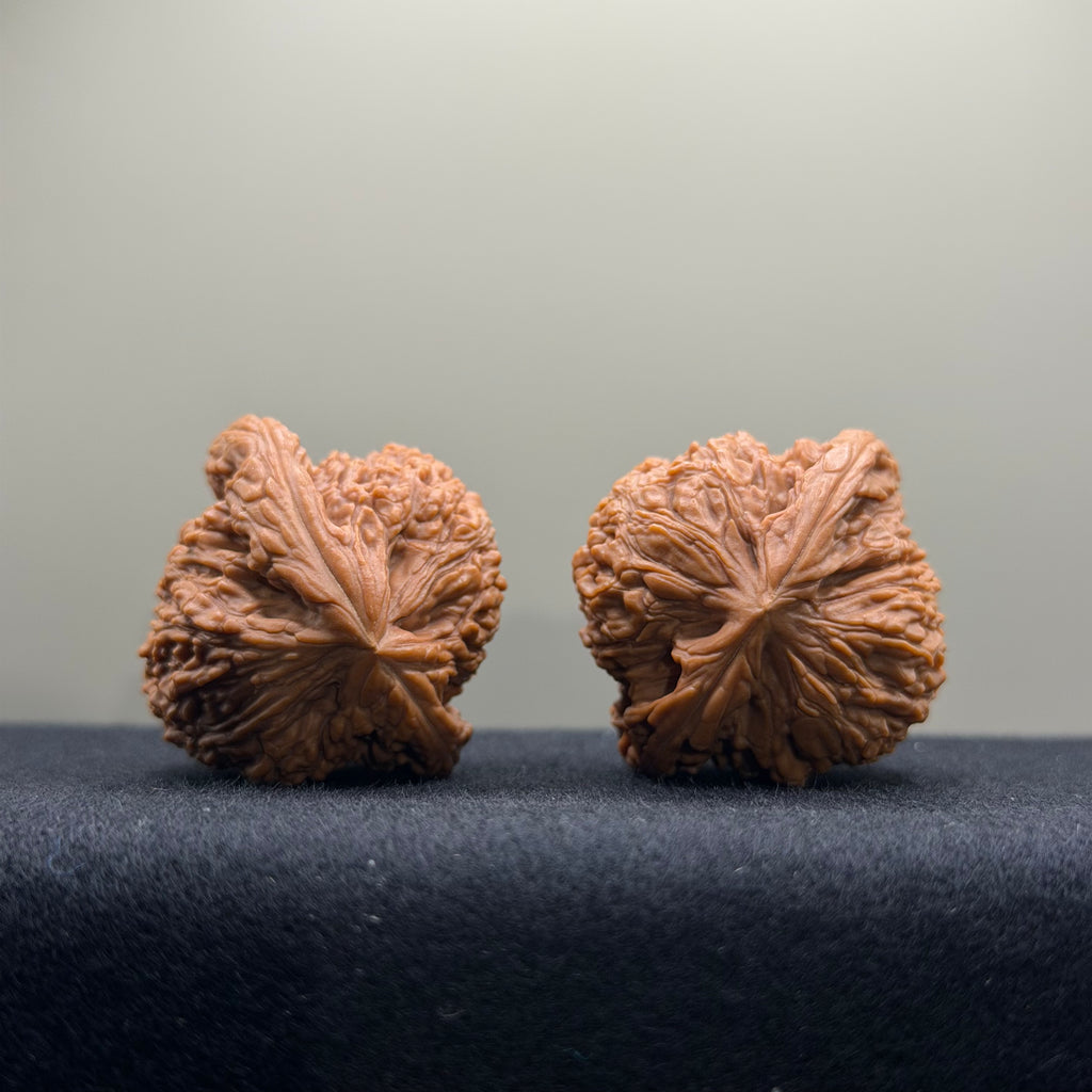 Nanjiang Stone Wenwan Walnut · 37mm · Natural · Select Ritual
