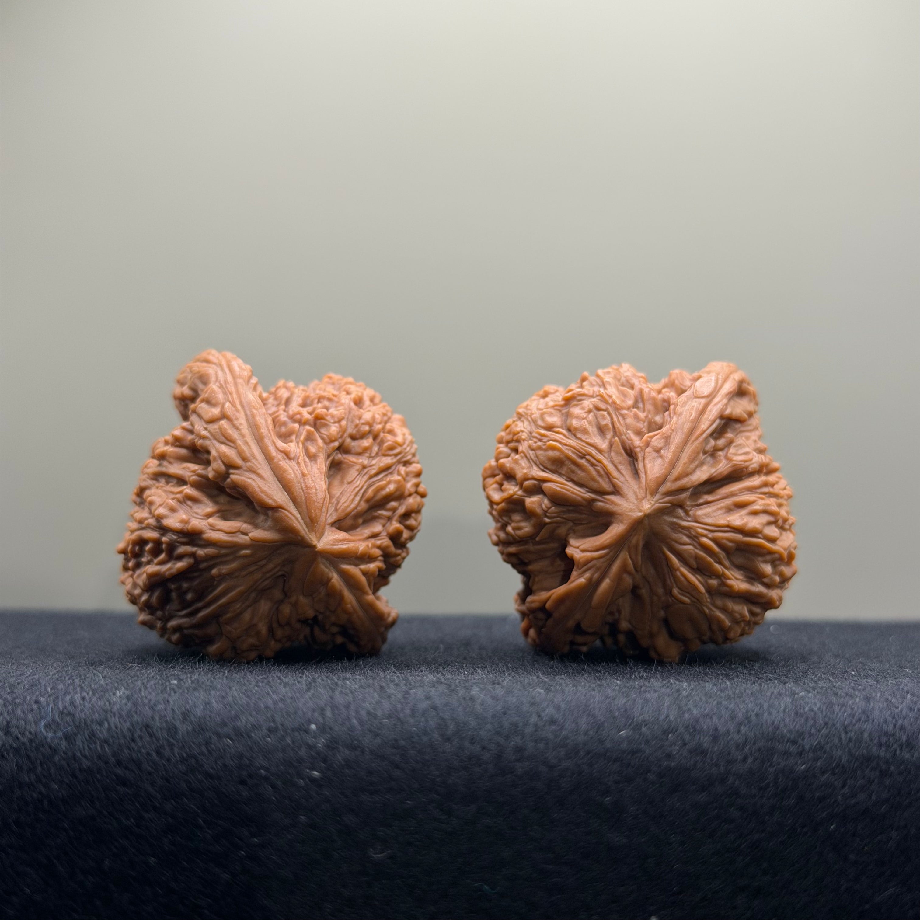 Nanjiang Stone Wenwan Walnut · 37mm · Natural · Select Ritual