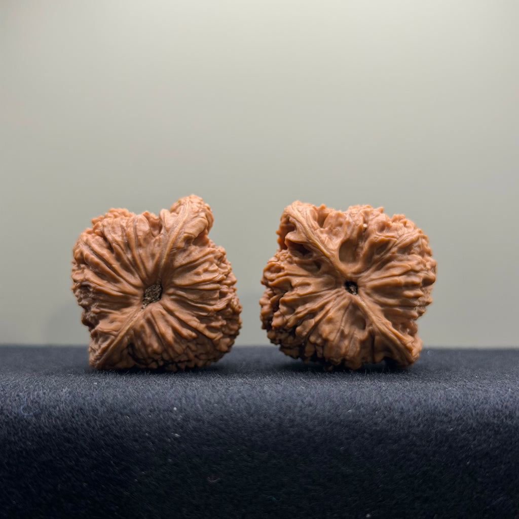 Nanjiang Stone Wenwan Walnut · 37mm · Natural · Select Ritual