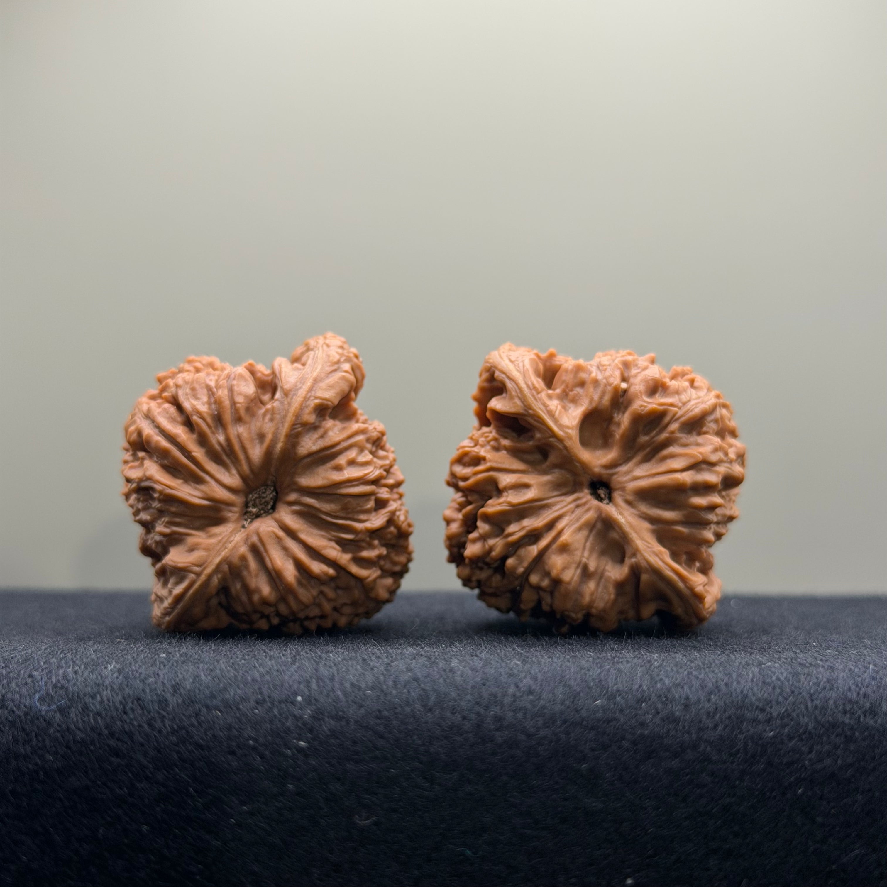 Nanjiang Stone Wenwan Walnut · 37mm · Natural · Select Ritual