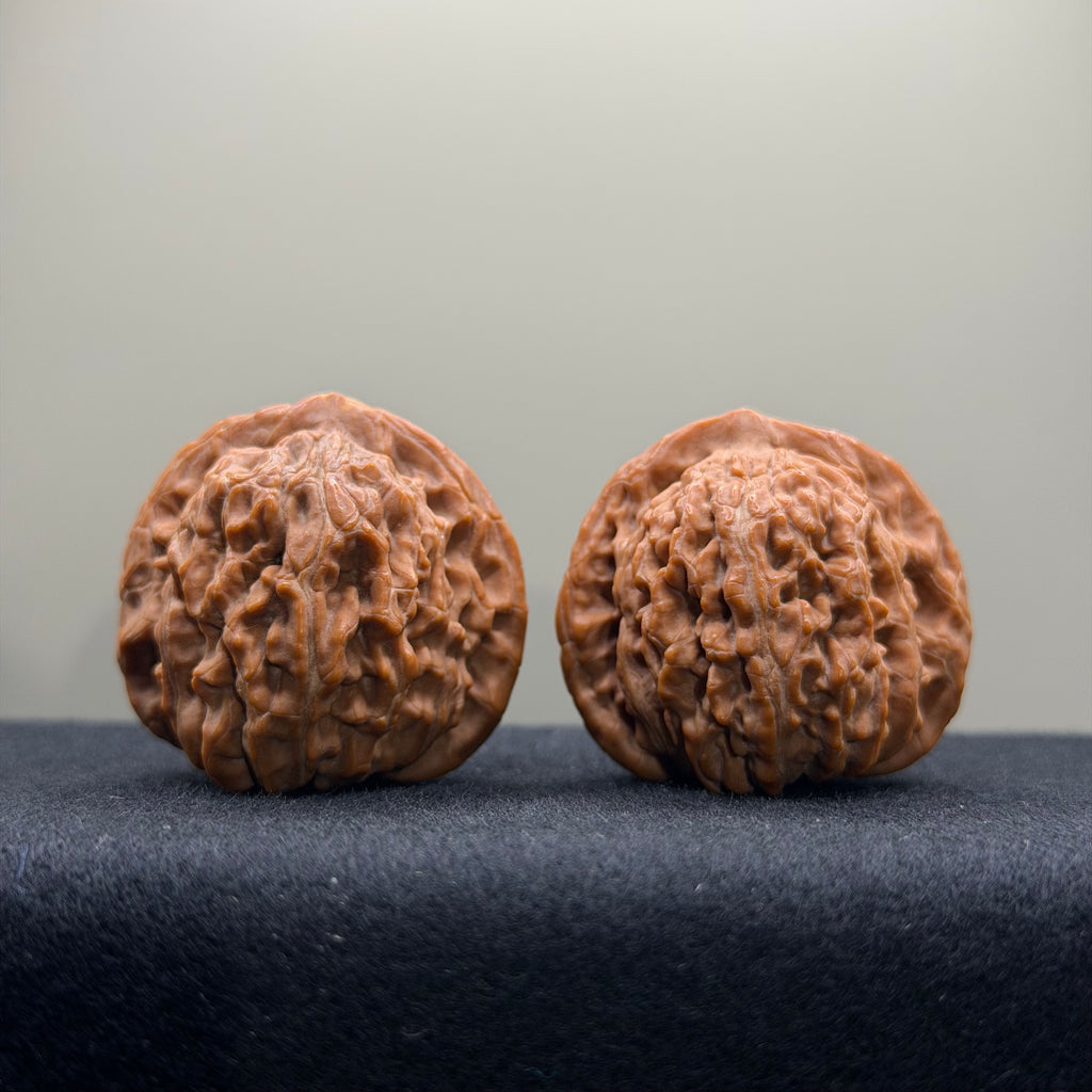 Four Towers Wenwan Walnut · 36mm · Natural · Select Ritual