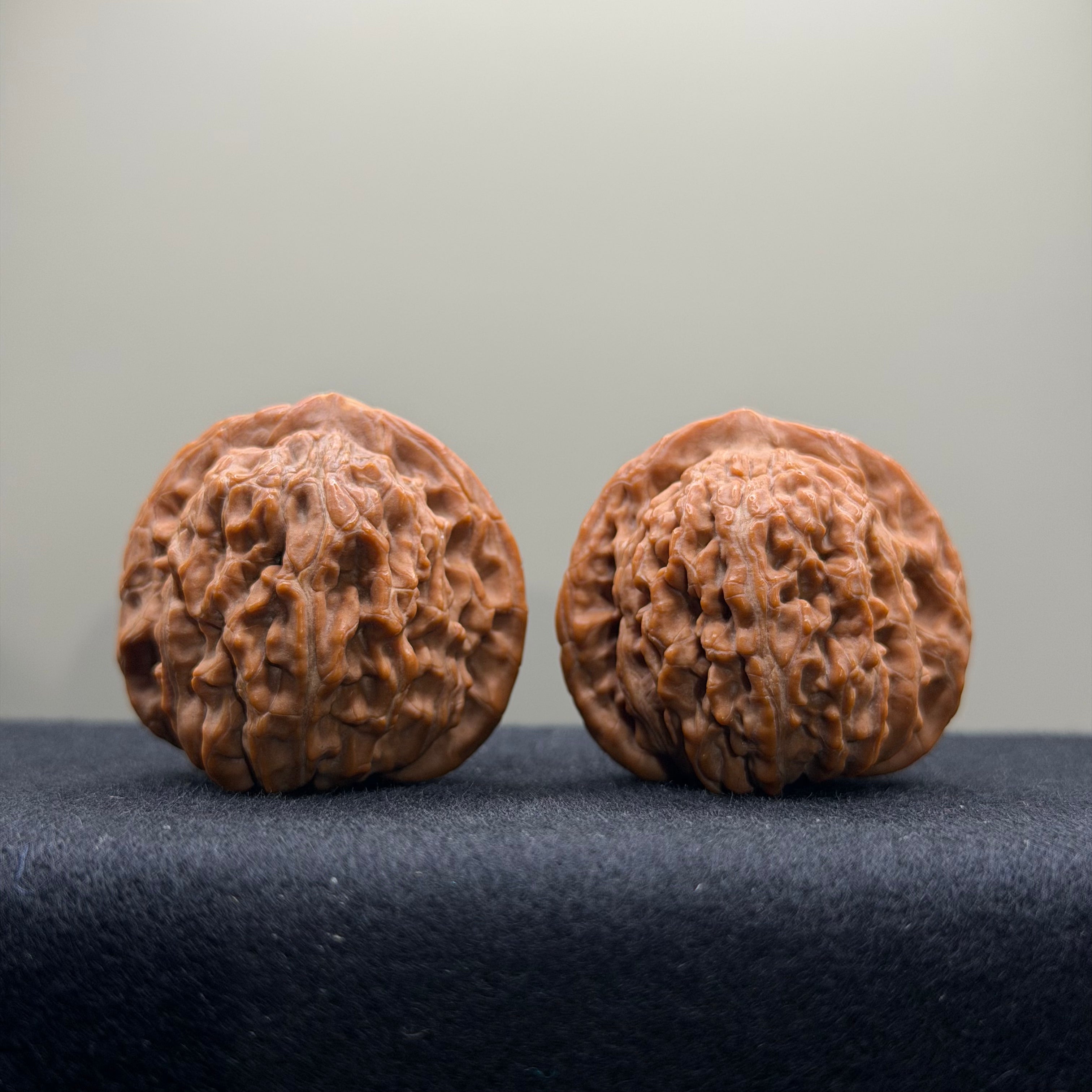 Four Towers Wenwan Walnut · 36mm · Natural · Select Ritual