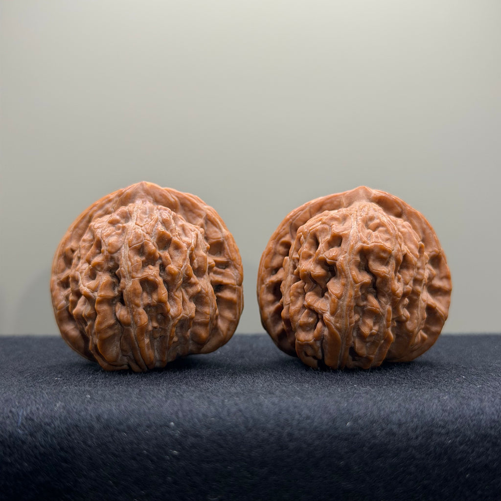 Four Towers Wenwan Walnut · 36mm · Natural · Select Ritual