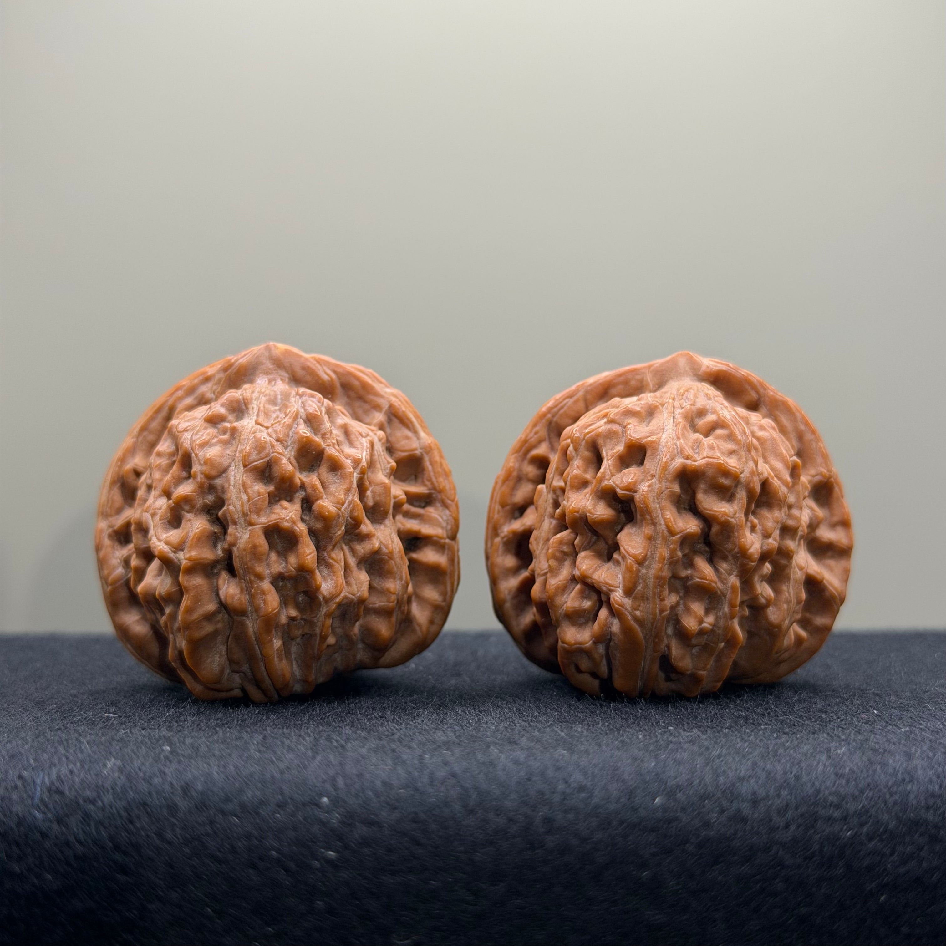 Four Towers Wenwan Walnut · 36mm · Natural · Select Ritual