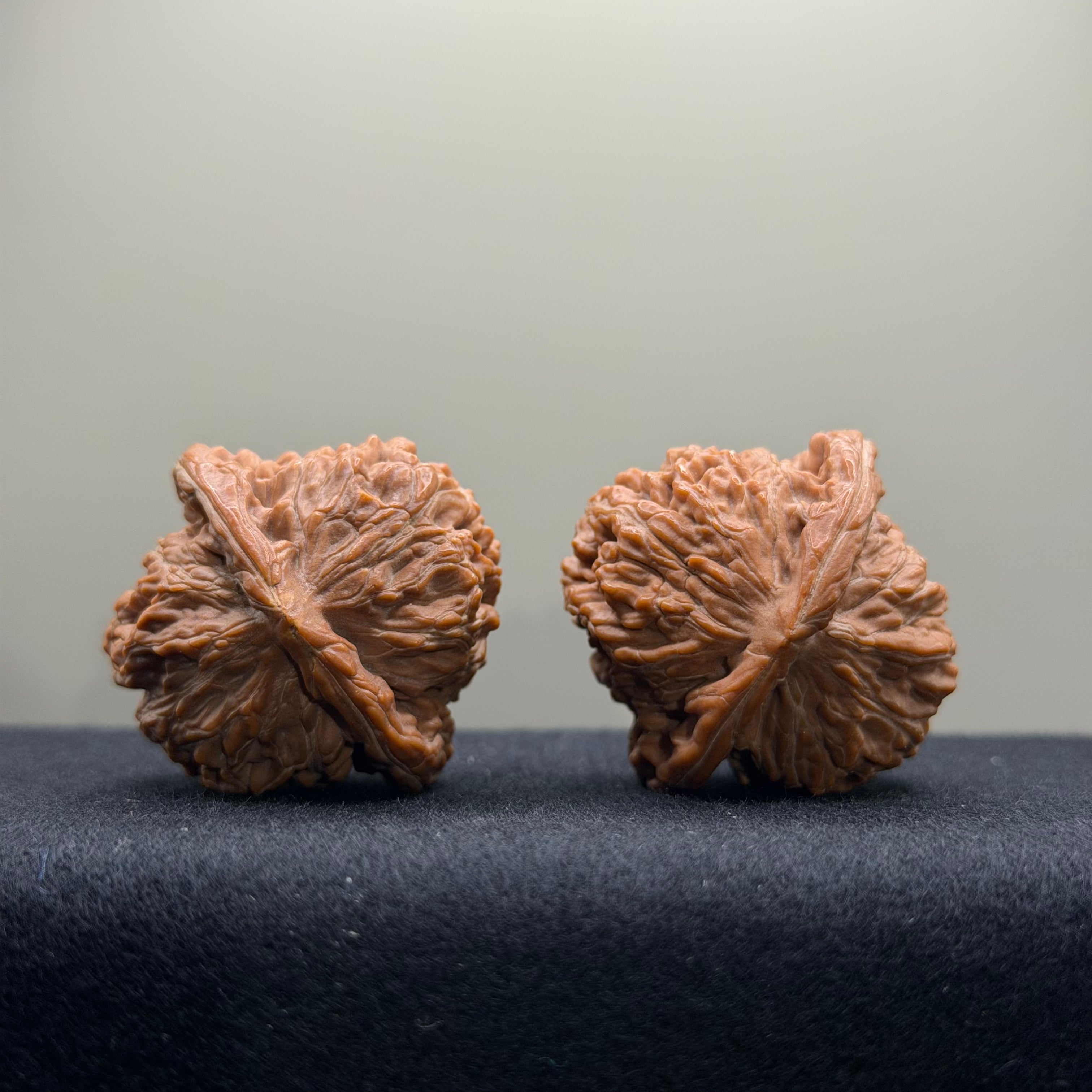 Four Towers Wenwan Walnut · 36mm · Natural · Select Ritual