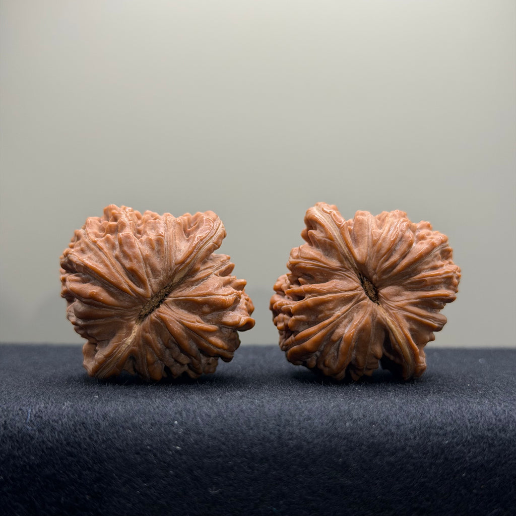 Four Towers Wenwan Walnut · 36mm · Natural · Select Ritual