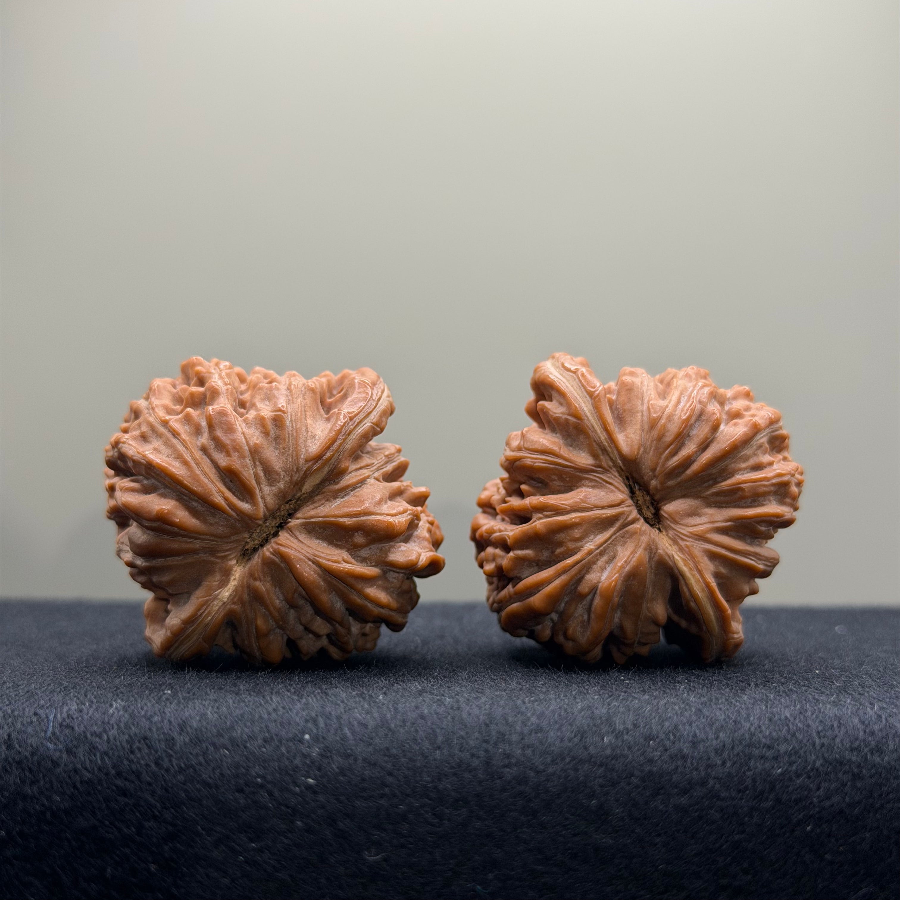 Four Towers Wenwan Walnut · 36mm · Natural · Select Ritual