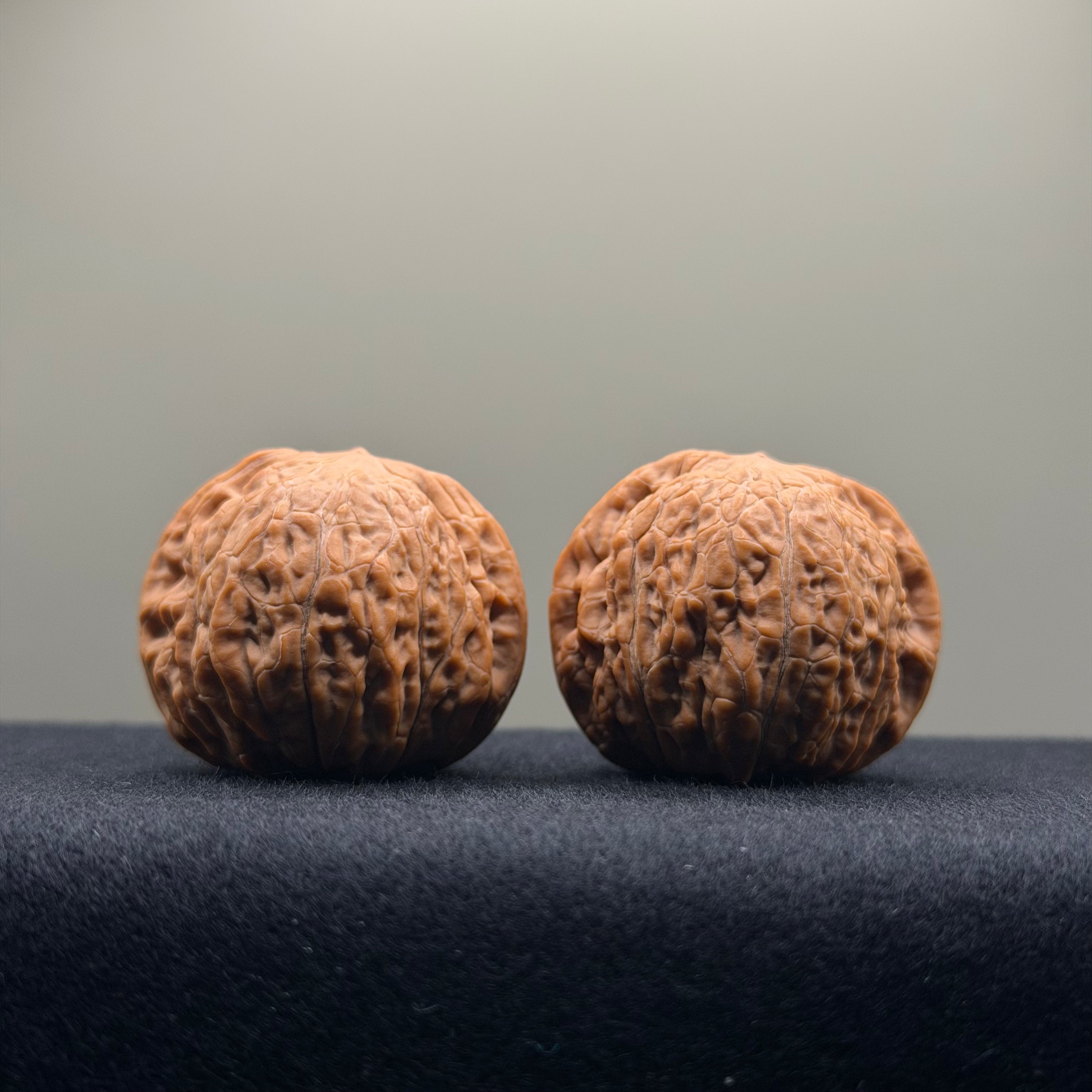 Iron Hammer Wenwan Walnut · 37mm · Natural · Premium Ritual