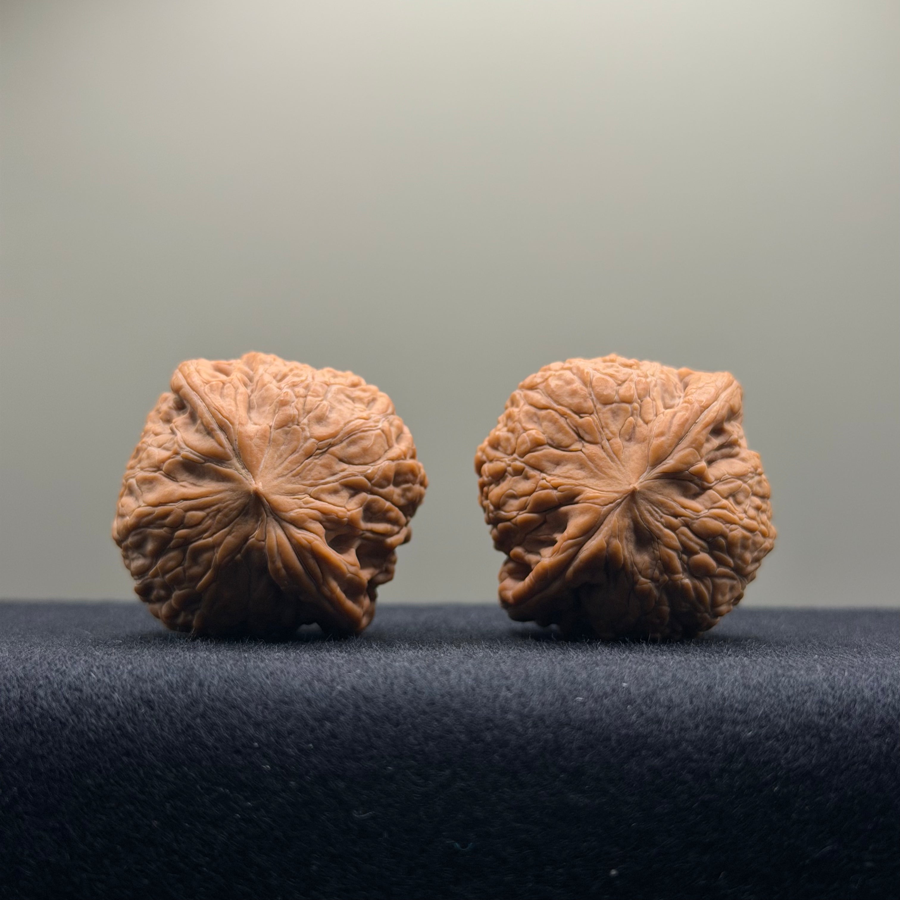 Iron Hammer Wenwan Walnut · 37mm · Natural · Premium Ritual