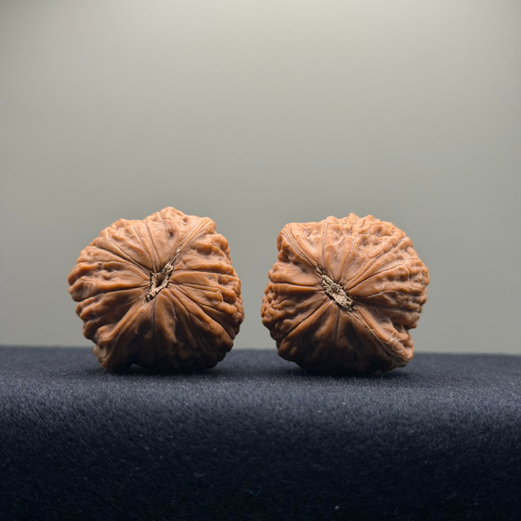 Iron Hammer Wenwan Walnut · 37mm · Natural · Premium Ritual