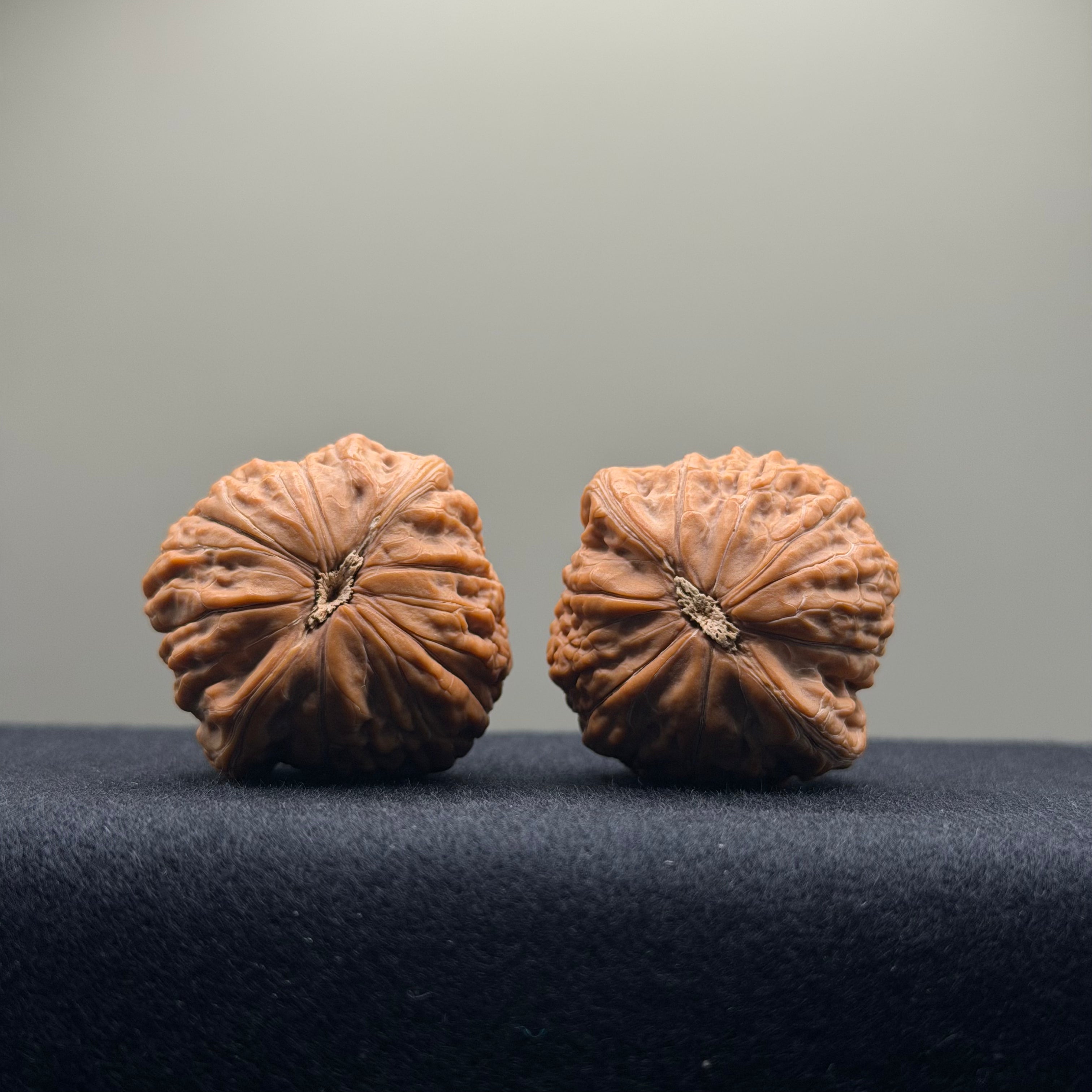 Iron Hammer Wenwan Walnut · 37mm · Natural · Premium Ritual