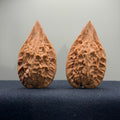 Red Tassel Spear Wenwan Walnut · 63mm · Natural · Premium Ritual