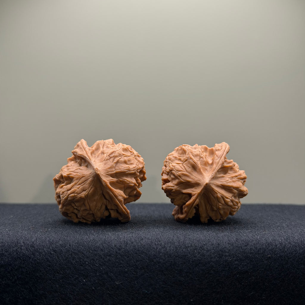 WalnutRitual Exclusive · First Love Wenwan Walnut · 34mm · Natural · Entry Ritual