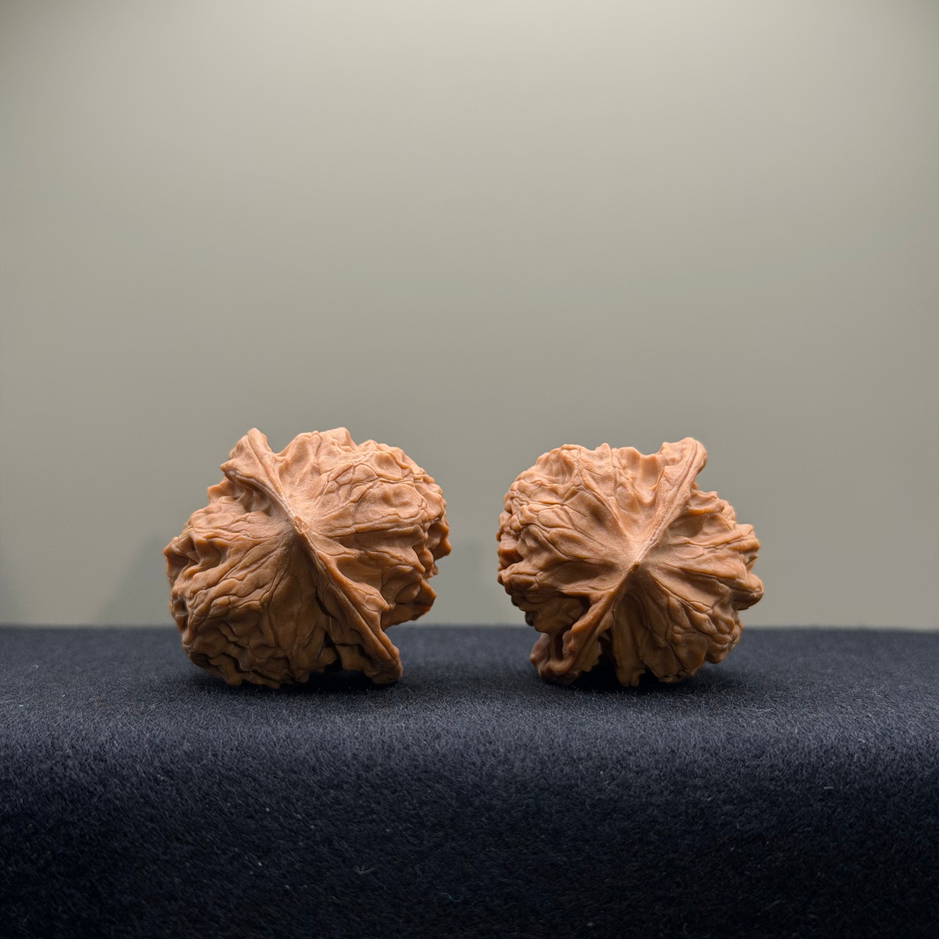 WalnutRitual Exclusive · First Love Wenwan Walnut · 34mm · Natural · Entry Ritual