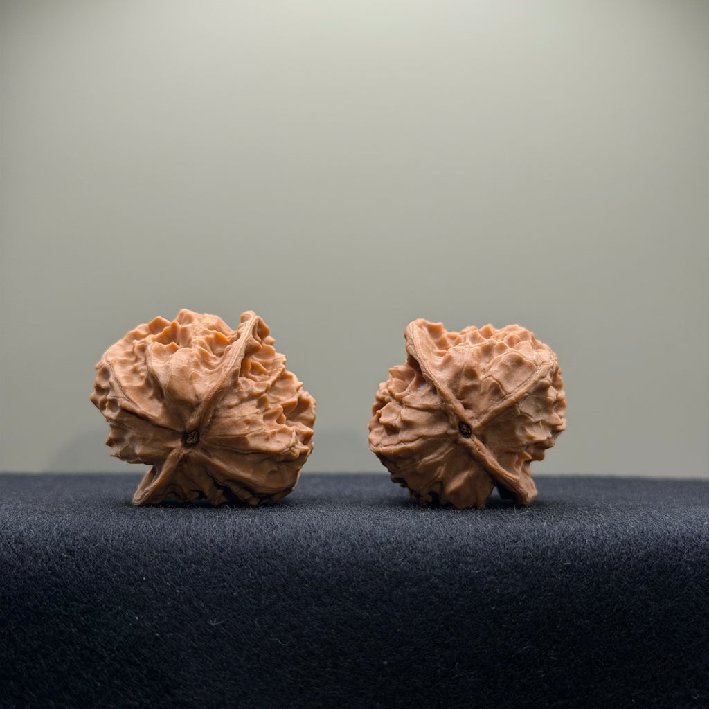 WalnutRitual Exclusive · First Love Wenwan Walnut · 34mm · Natural · Entry Ritual