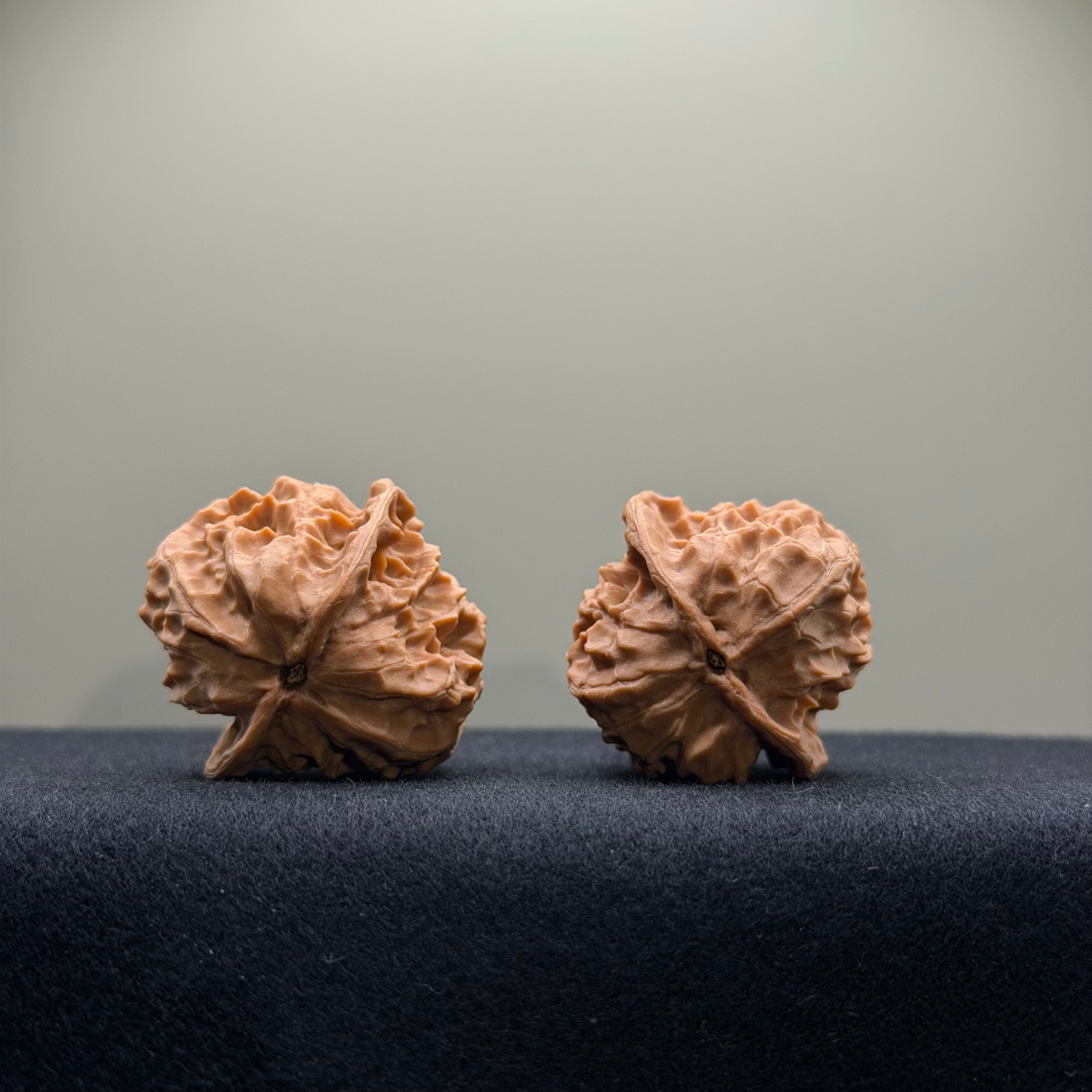 WalnutRitual Exclusive · First Love Wenwan Walnut · 34mm · Natural · Entry Ritual