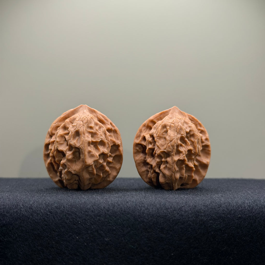 WalnutRitual Exclusive · First Love Wenwan Walnut · 34mm · Natural · Entry Ritual