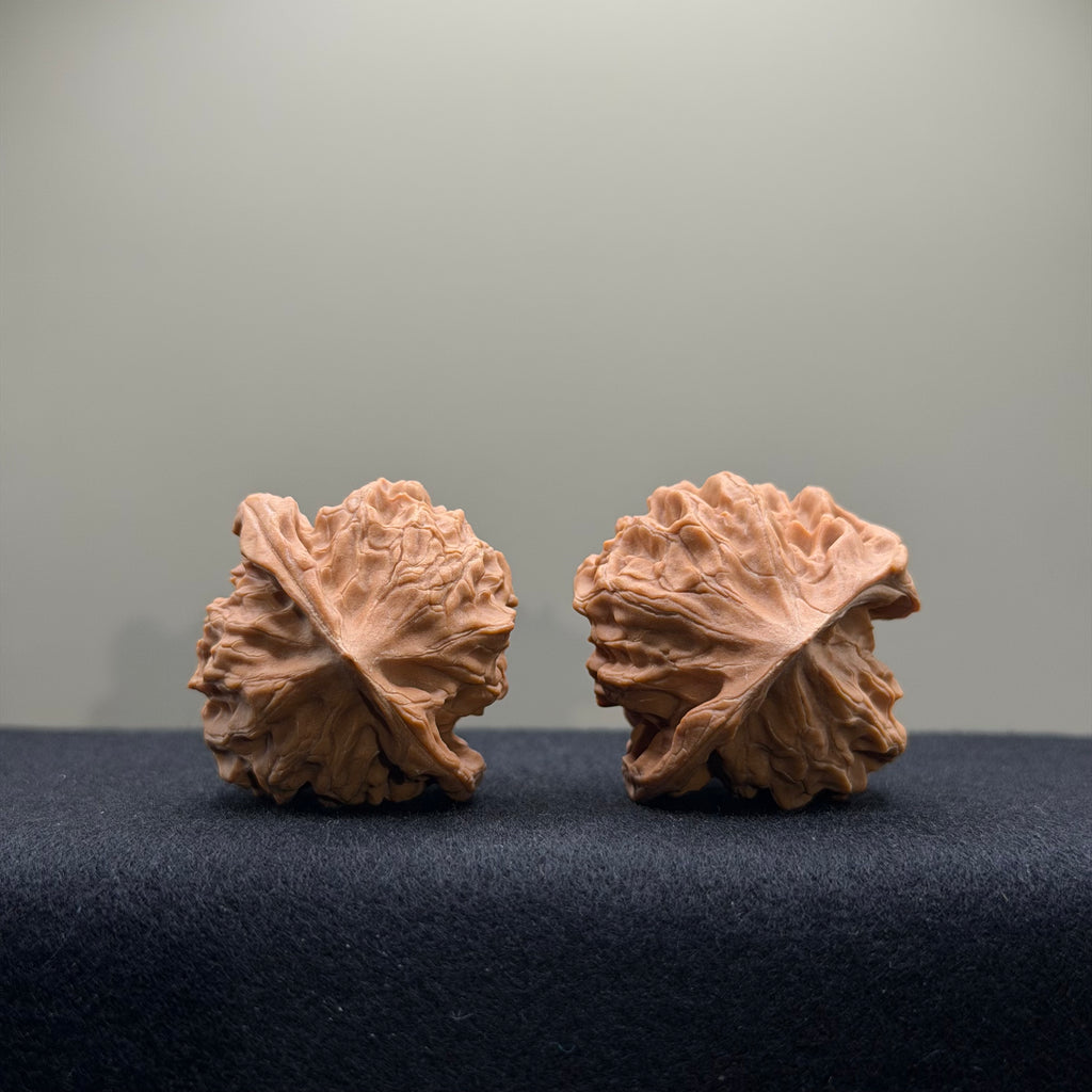 WalnutRitual Exclusive · First Love Wenwan Walnut · 38mm · Natural · Entry Ritual