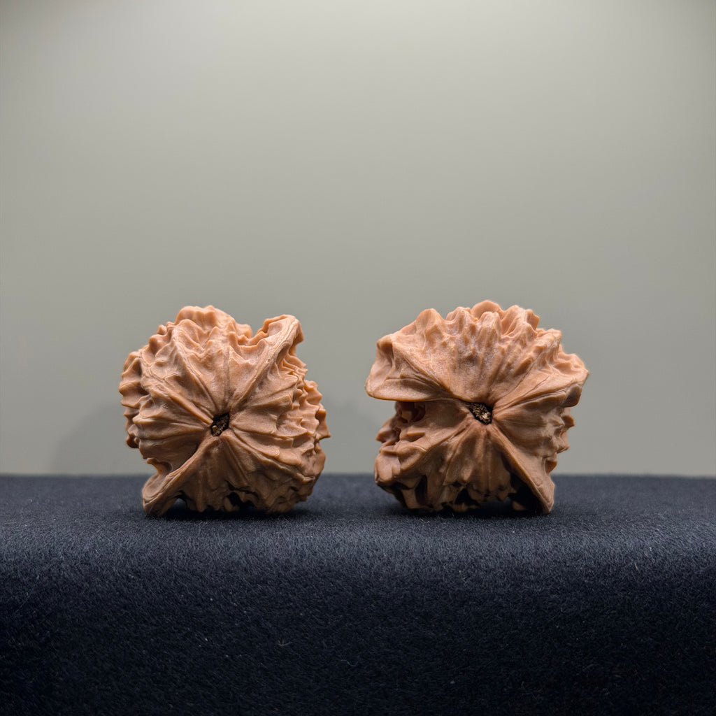 WalnutRitual Exclusive · First Love Wenwan Walnut · 38mm · Natural · Entry Ritual