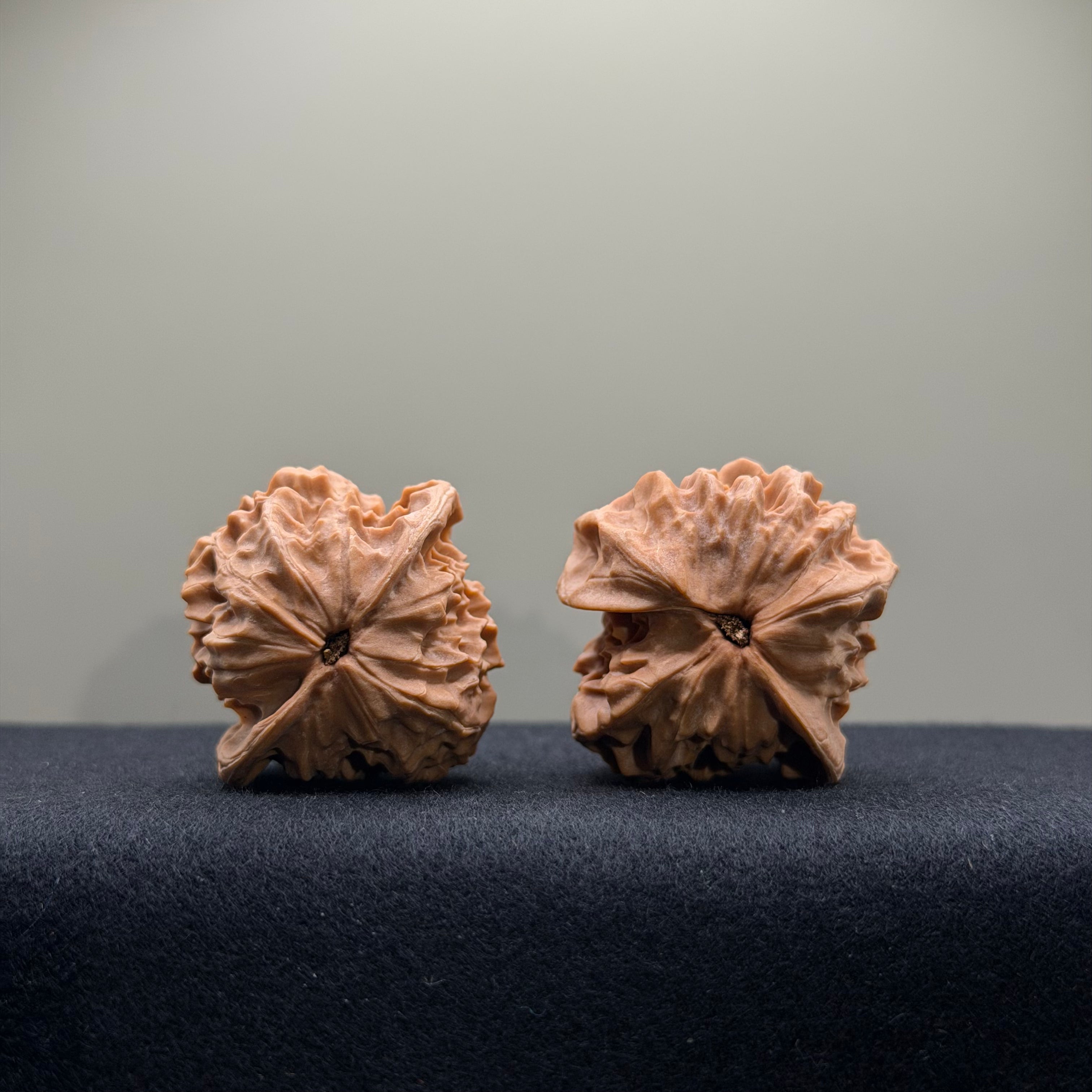 WalnutRitual Exclusive · First Love Wenwan Walnut · 38mm · Natural · Entry Ritual