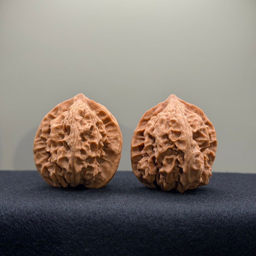 WalnutRitual Exclusive · First Love Wenwan Walnut · 37mm · Natural · Entry Ritual