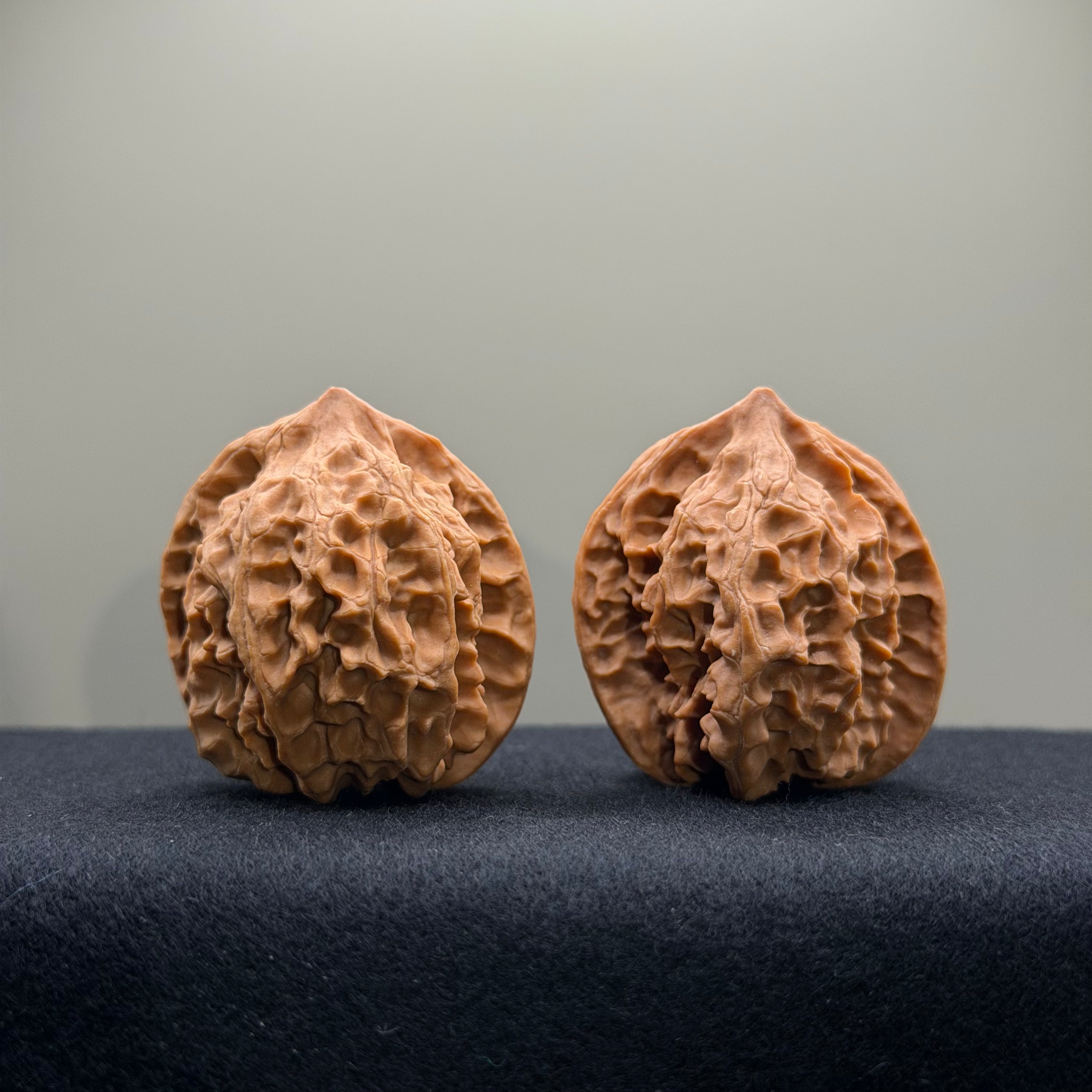 WalnutRitual Exclusive · First Love Wenwan Walnut · 37mm · Natural · Entry Ritual