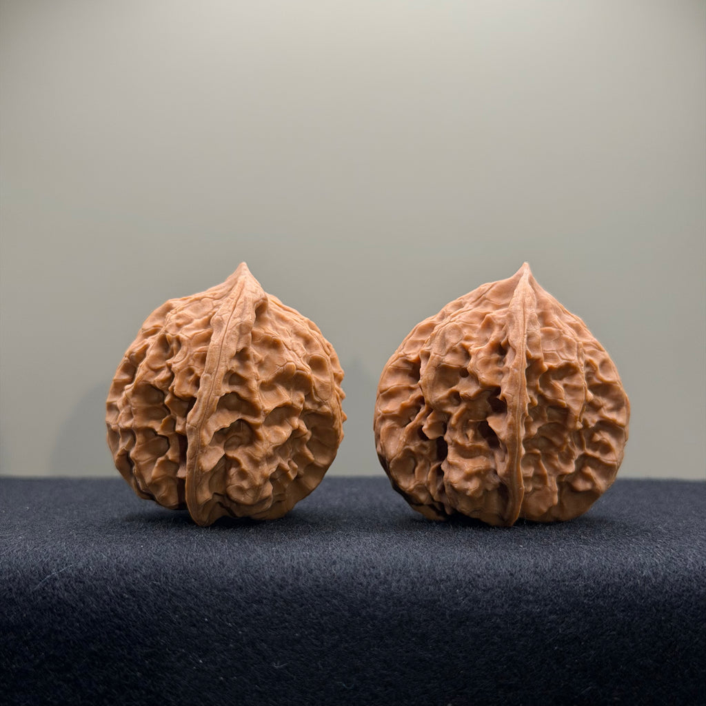 WalnutRitual Exclusive · First Love Wenwan Walnut · 37mm · Natural · Entry Ritual