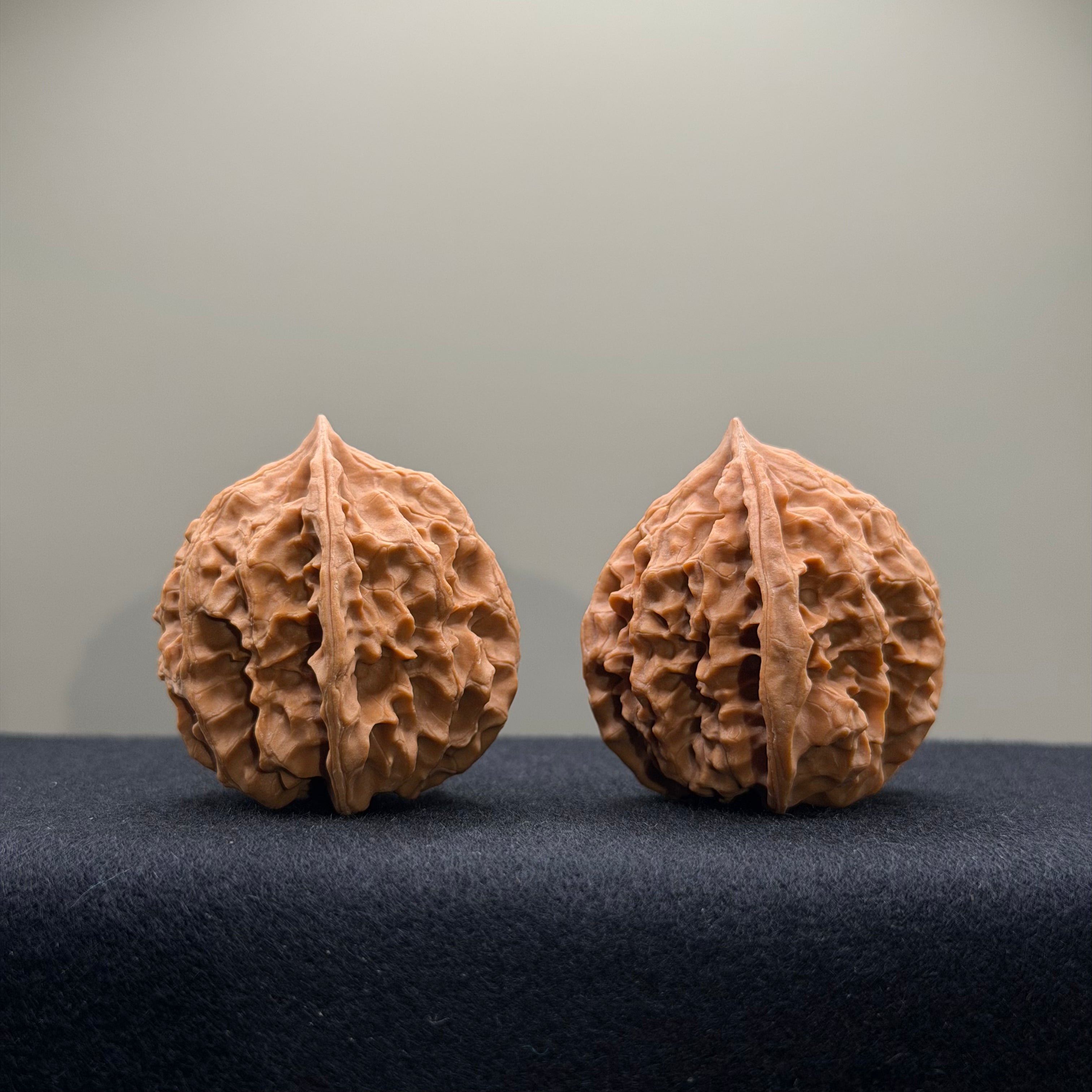 WalnutRitual Exclusive · First Love Wenwan Walnut · 37mm · Natural · Entry Ritual