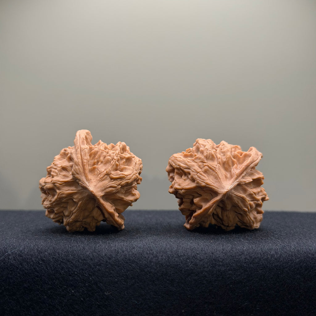 WalnutRitual Exclusive · First Love Wenwan Walnut · 37mm · Natural · Entry Ritual